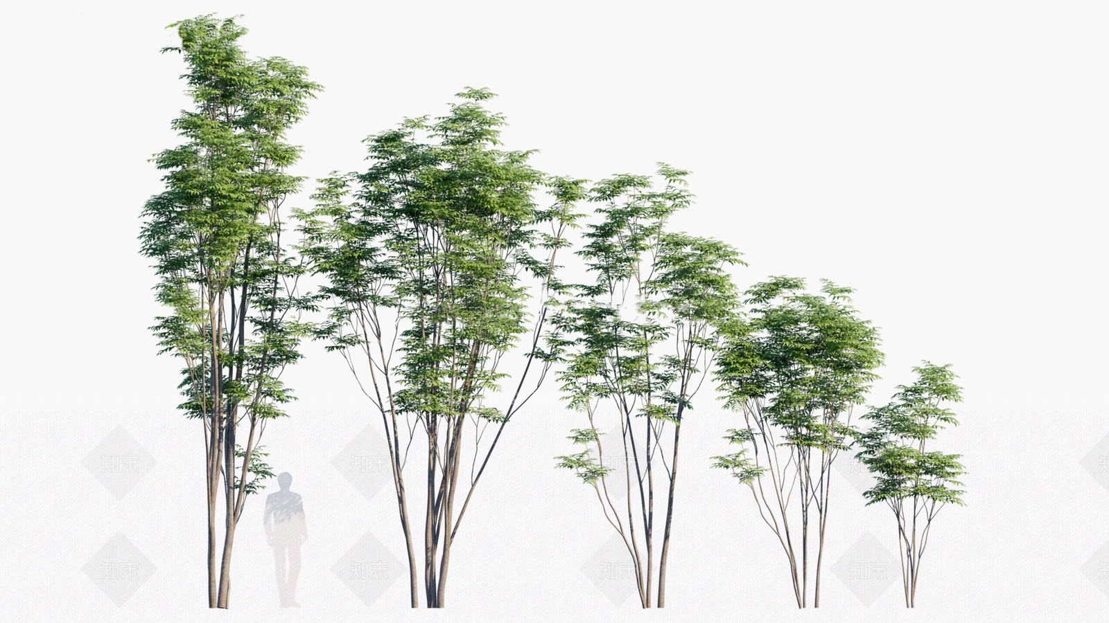 火烈鸟香椿3D模型下载【ID:1146458422】
