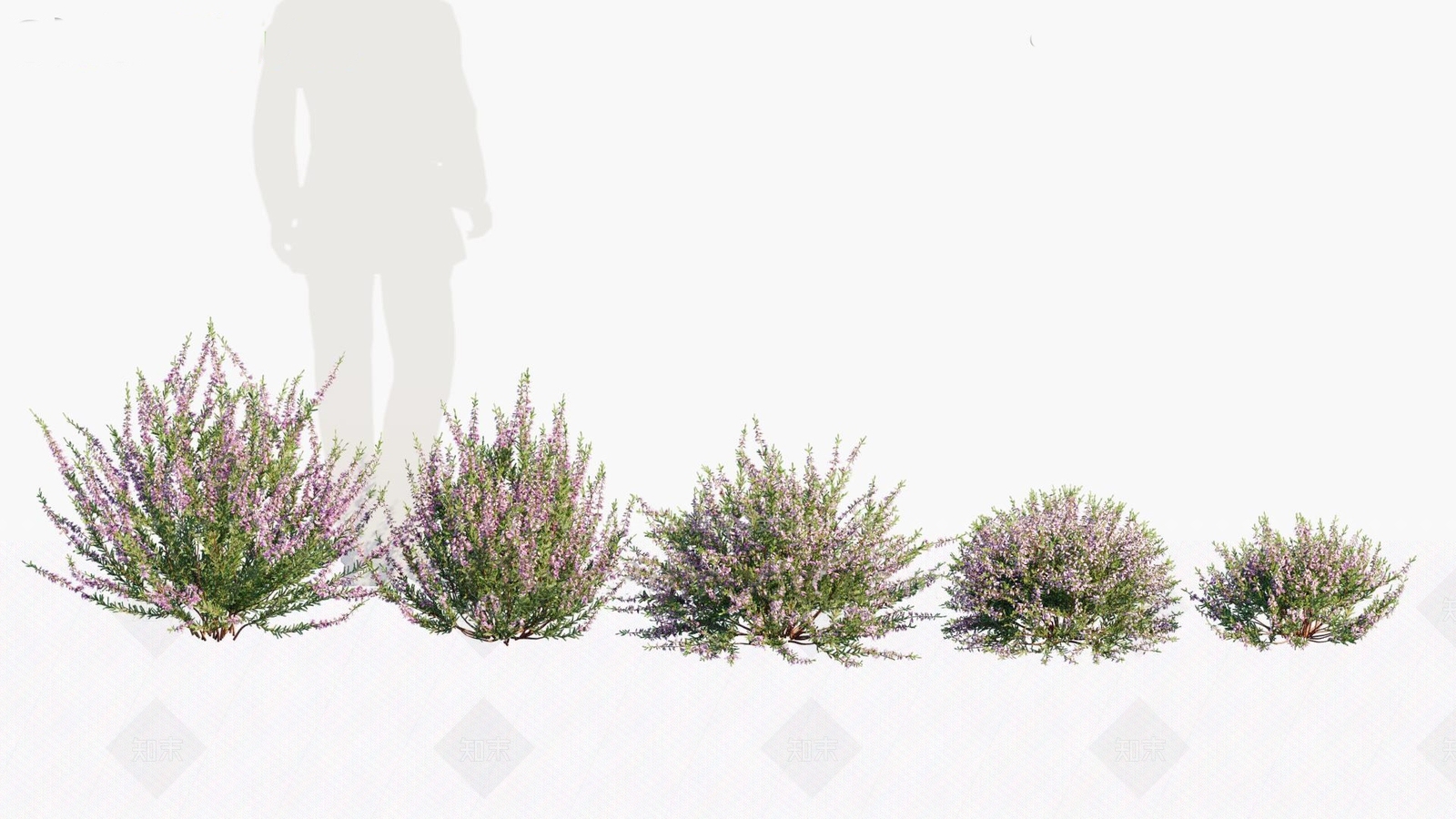 灌木3D模型下载【ID:1146492453】