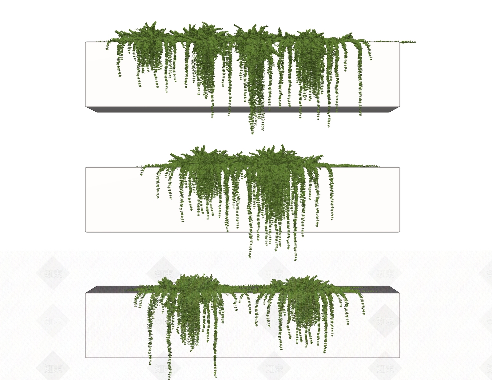 现代藤蔓垂挂植物组合SU模型下载【ID:1146555342】