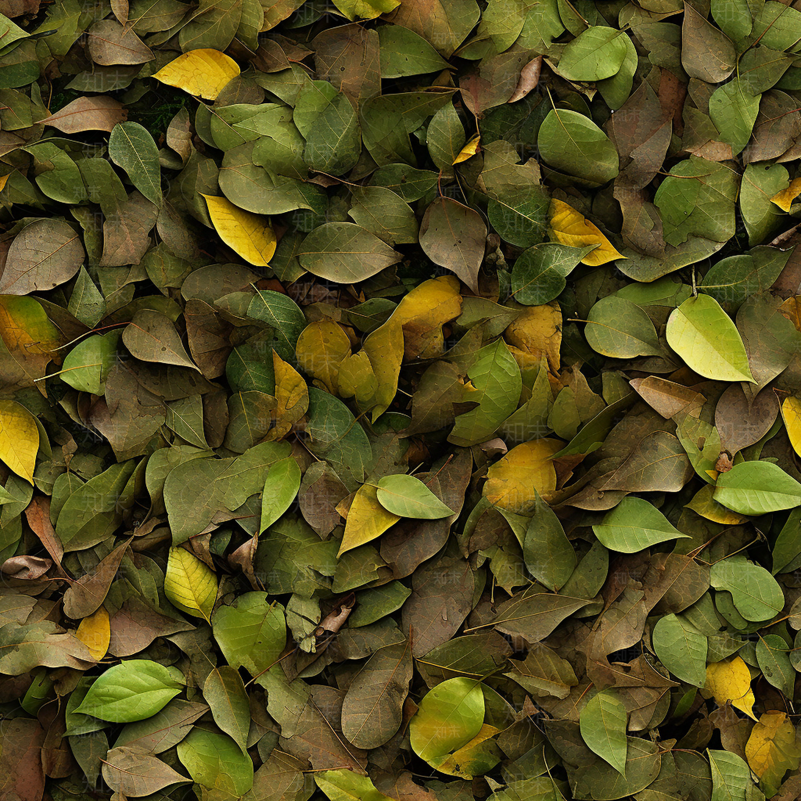 无缝落叶地面贴图下载【ID:1146560010】