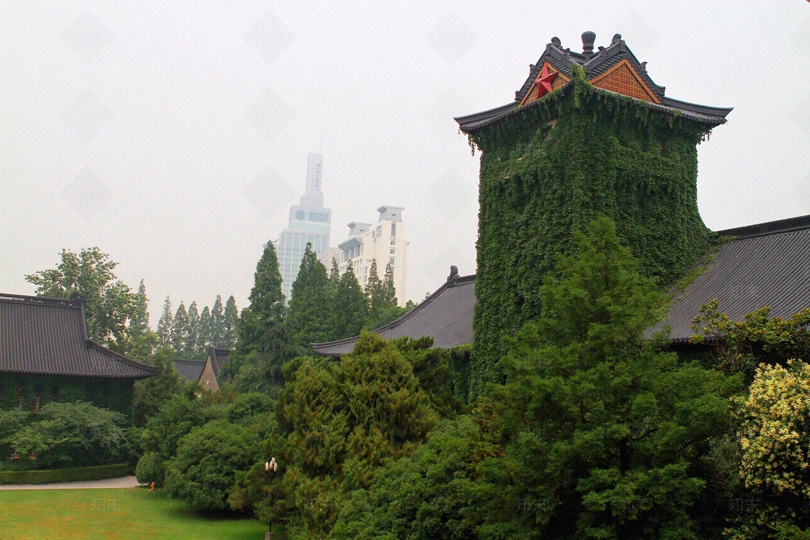 绿色建筑贴图下载【ID:1146624282】