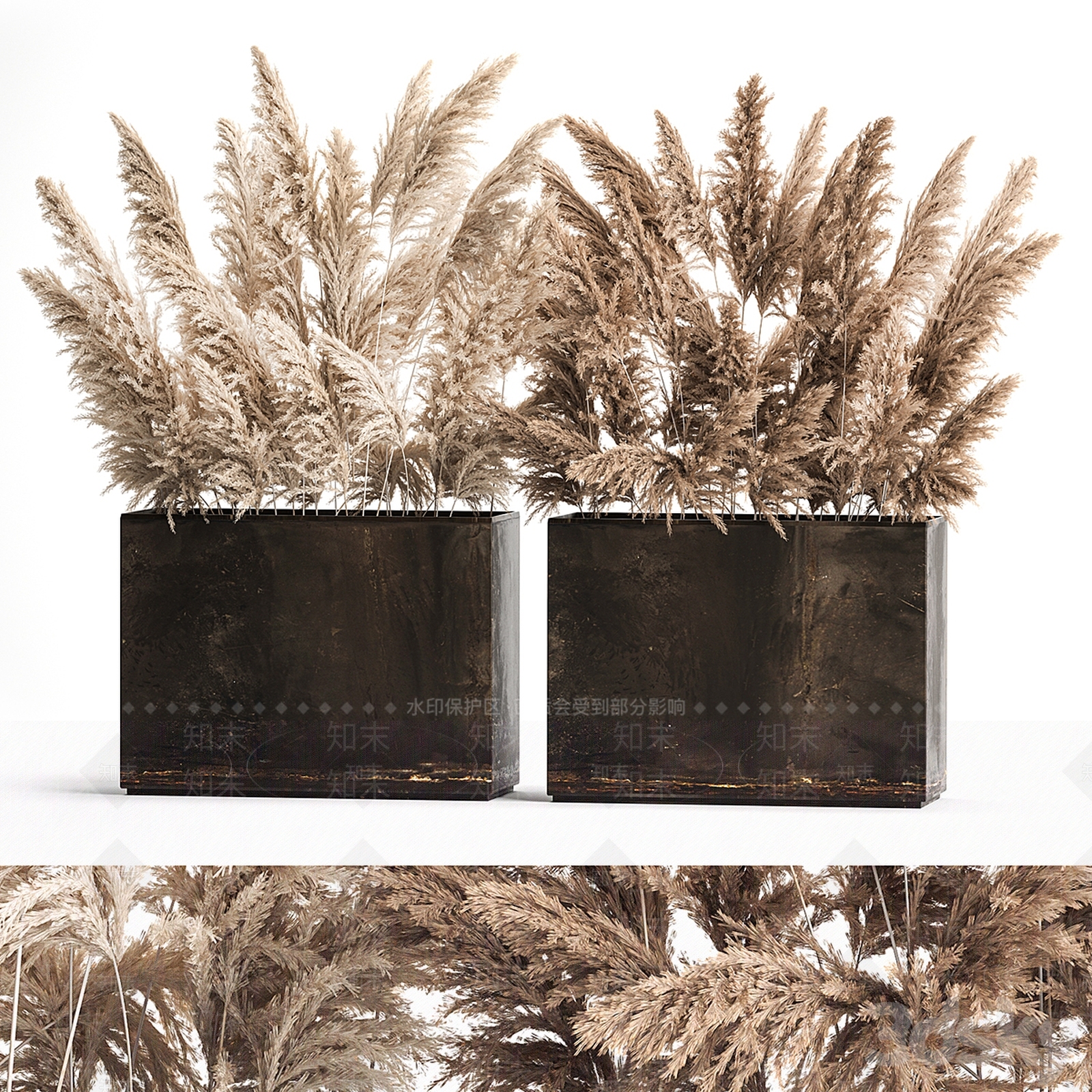 芦苇植物花箱SU模型下载【ID:1146710331】