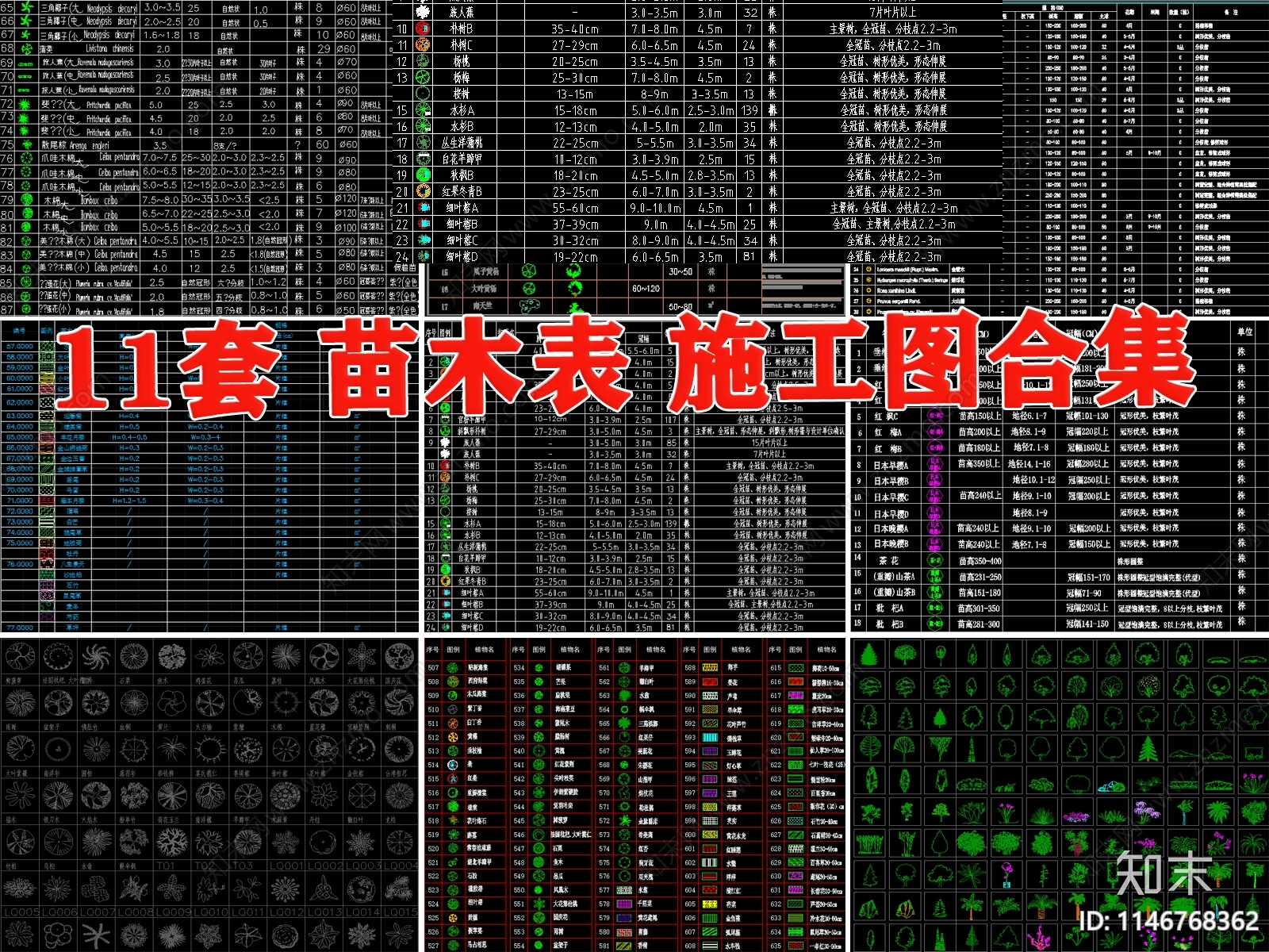 苗木表图库施工图下载【ID:1146768362】