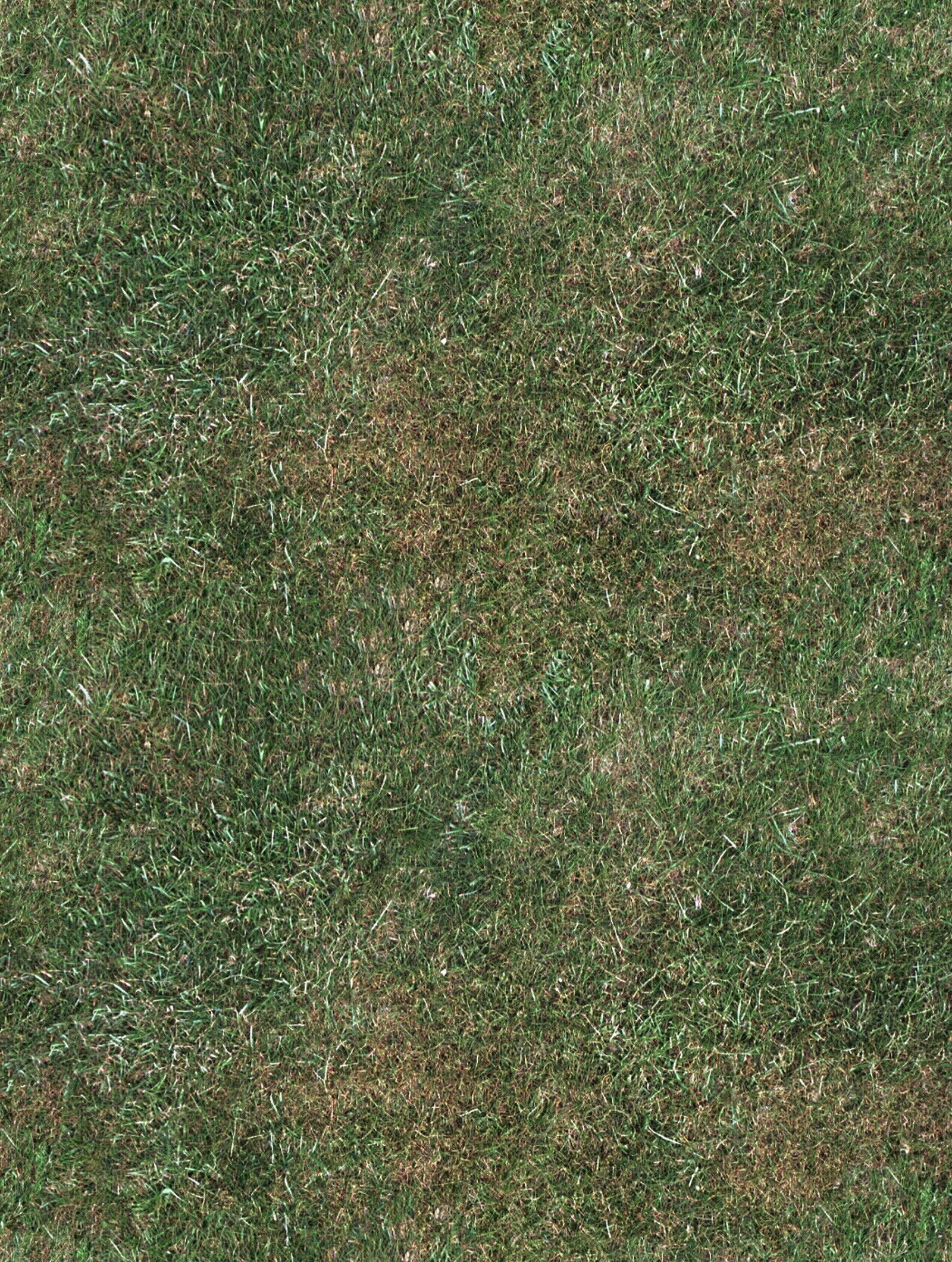 超真实草地草坪草皮植物草丛灌木绿植地面贴图下载【ID:1146790089】