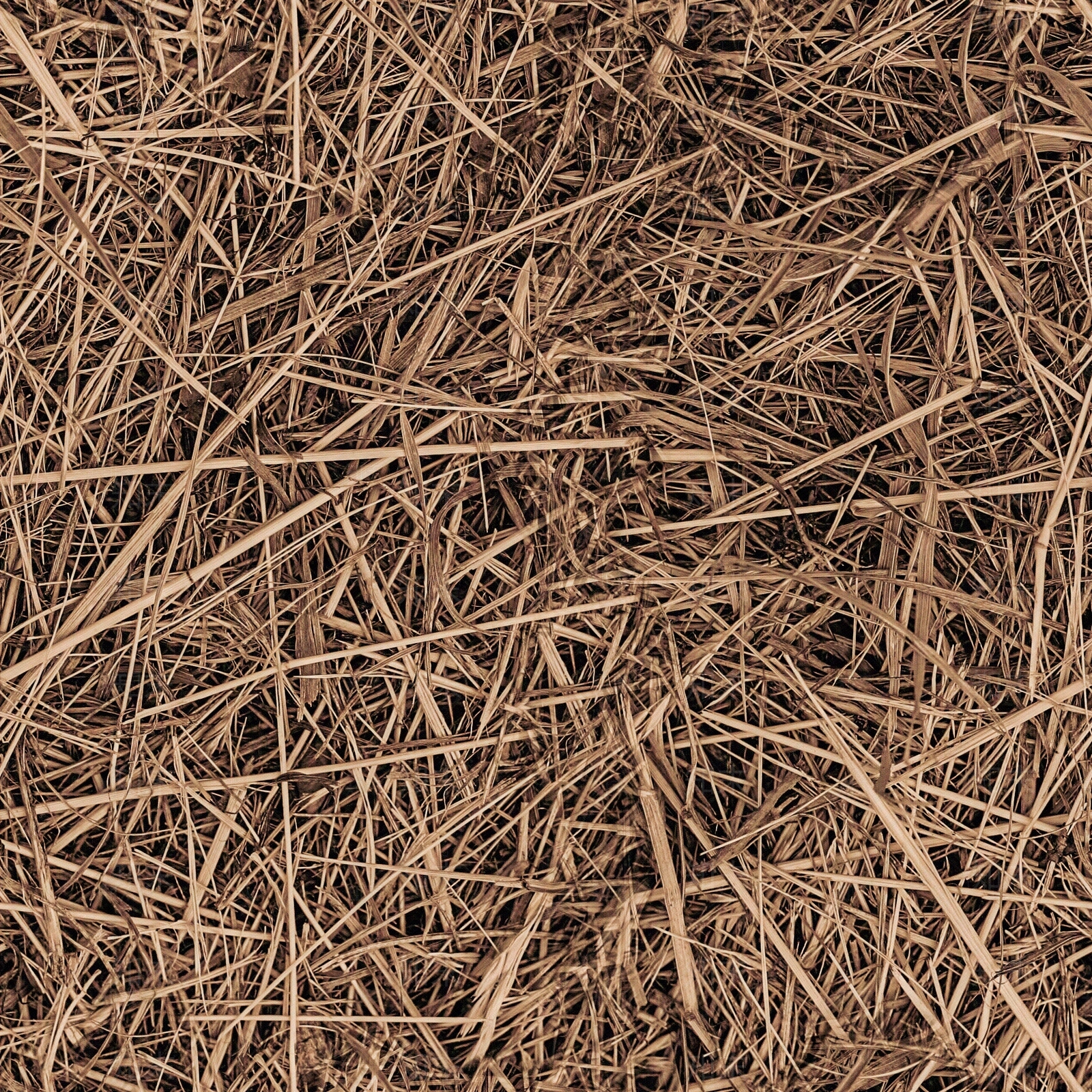 无缝草地纹理枯草地面草皮地面干草地面枯叶土壤泥土地面贴图下载【ID:1146939577】