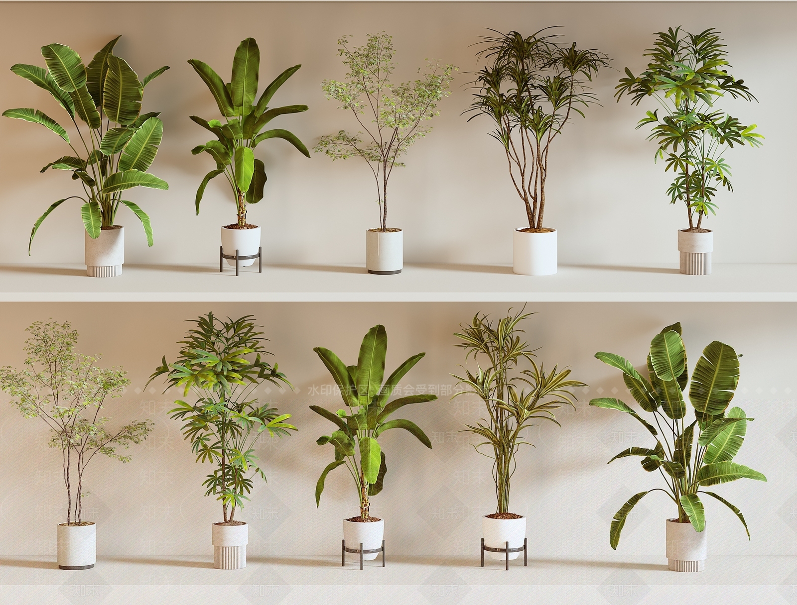 现代芭蕉叶绿植盆栽组合3D模型下载【ID:1147093123】