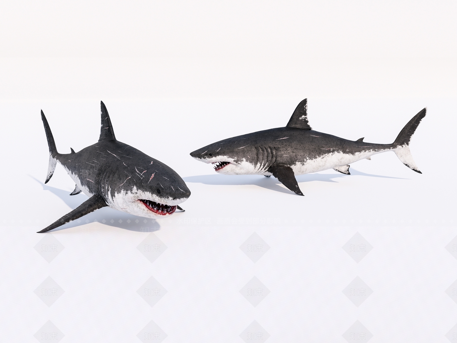 水生类动物3D模型下载【ID:1147012090】