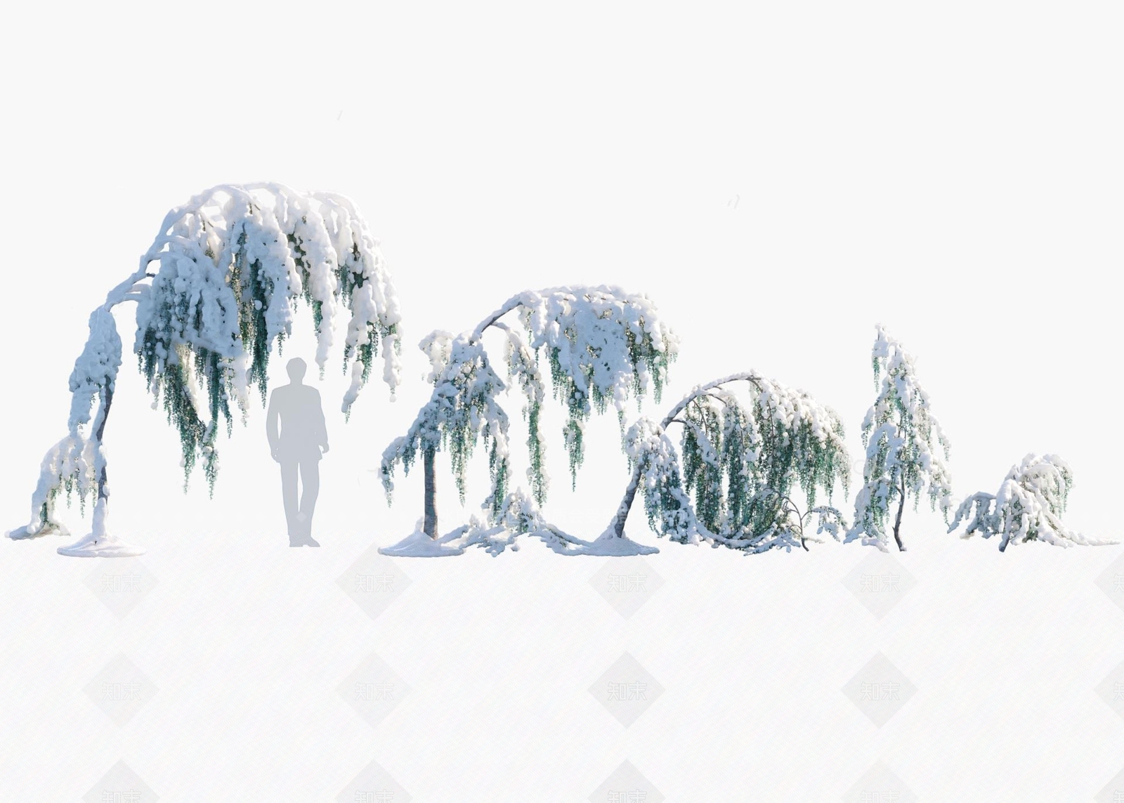 雪松3D模型下载【ID:1147033346】