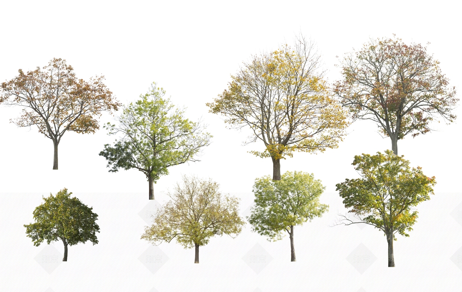 2D二维景观造型树SU模型下载【ID:1147043170】