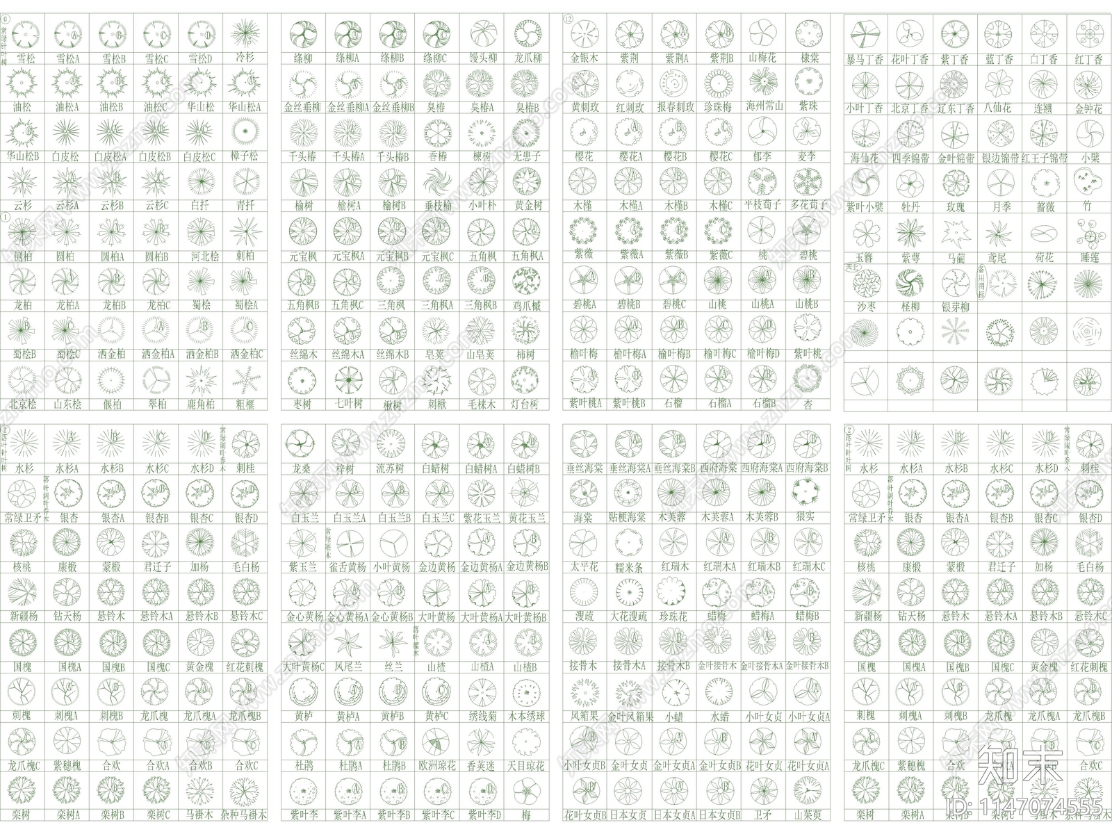 超全园林景观植物图库cad施工图下载【ID:1147074555】