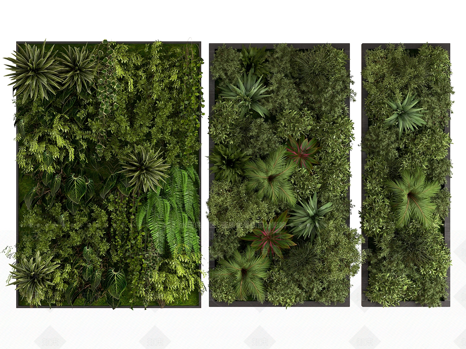 植物墙3D模型下载【ID:1147161427】