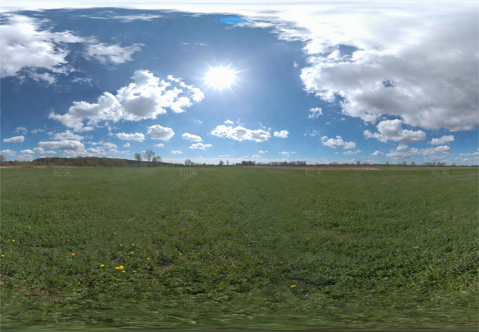 正午户外天空草地HDR贴图下载【ID:1147605575】