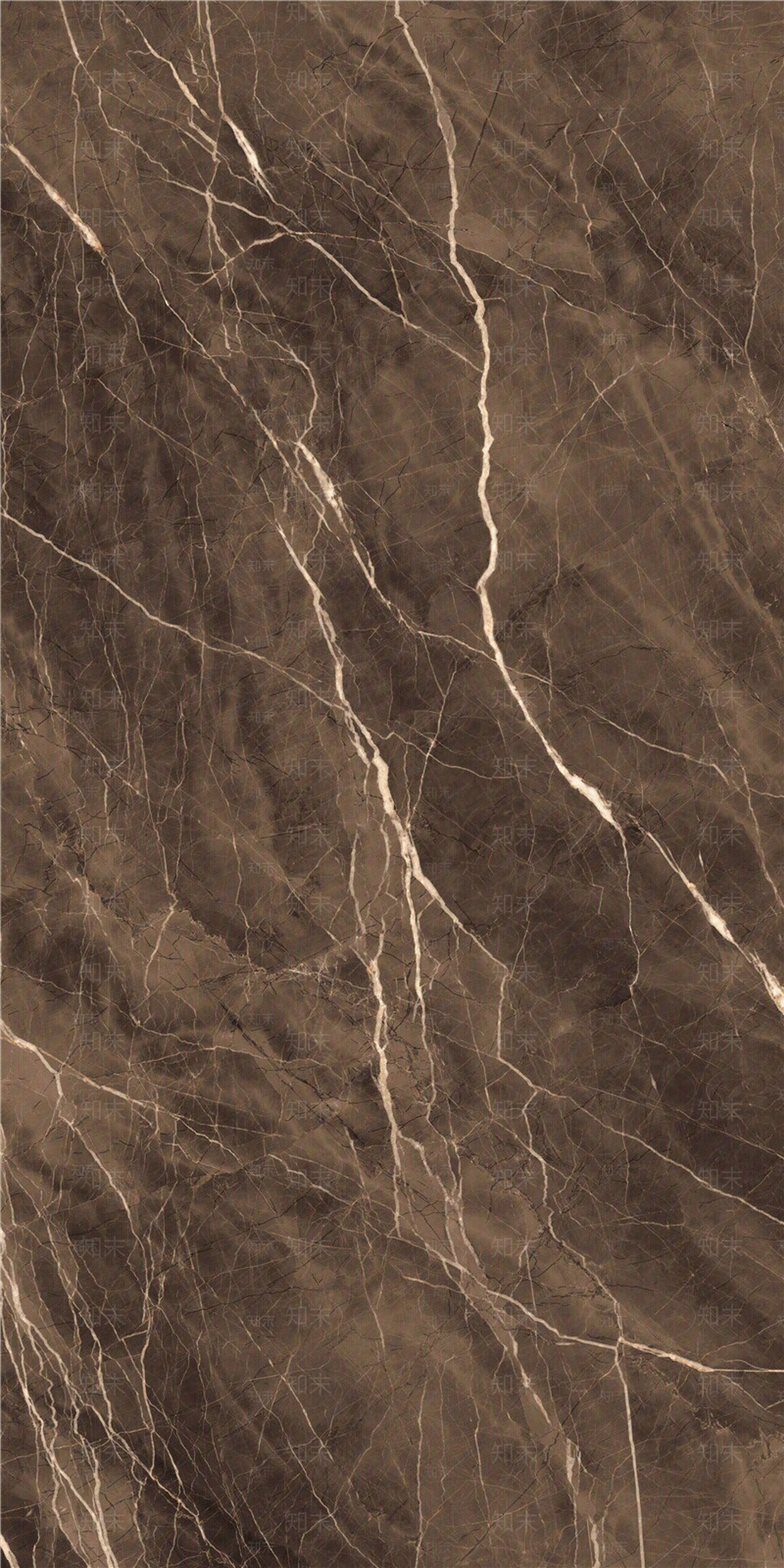 蒙娜丽莎深咖劳伦斯黑贴图下载【ID:1147174330】