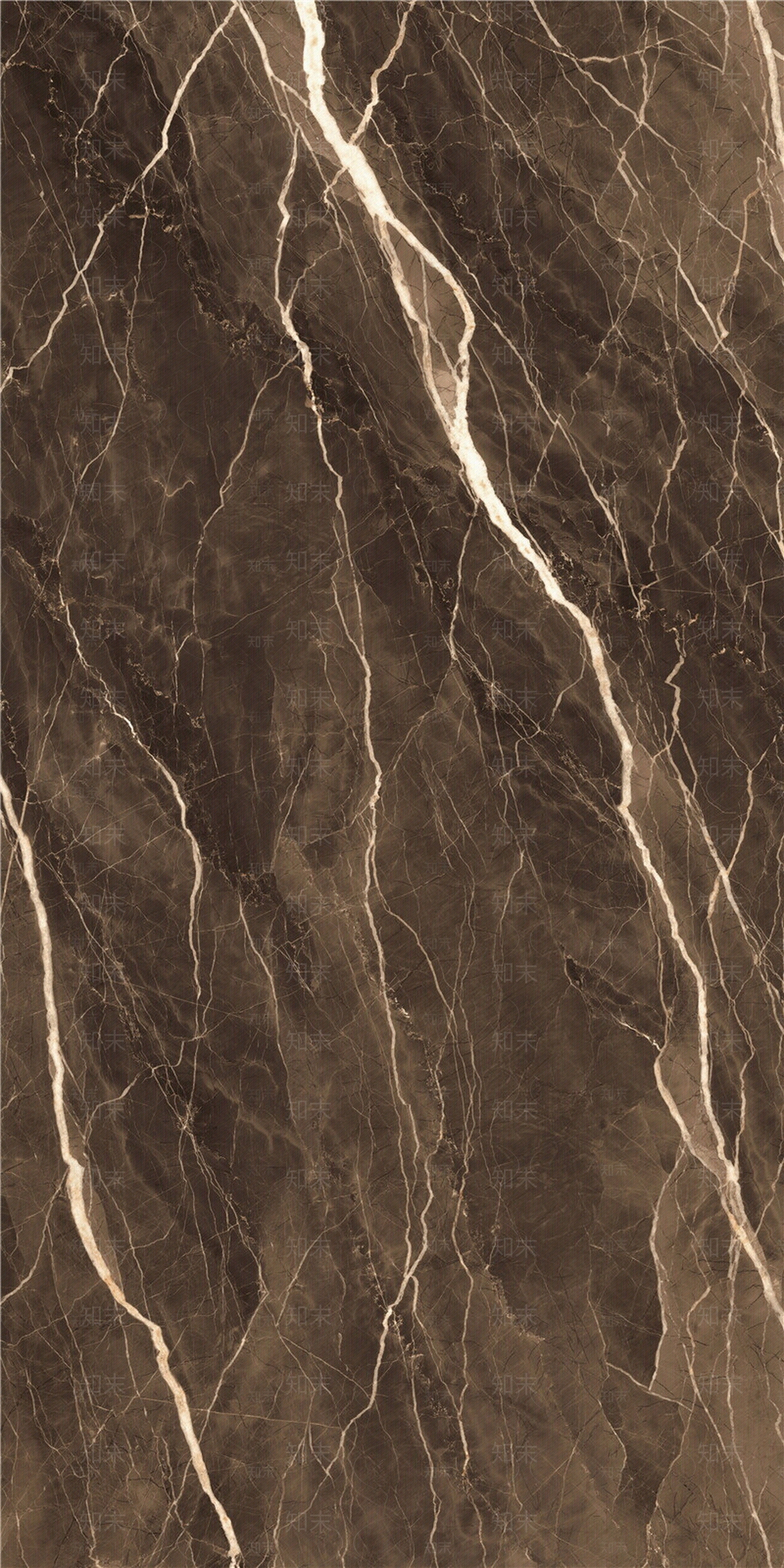 蒙娜丽莎深咖劳伦斯黑贴图下载【ID:1147174377】