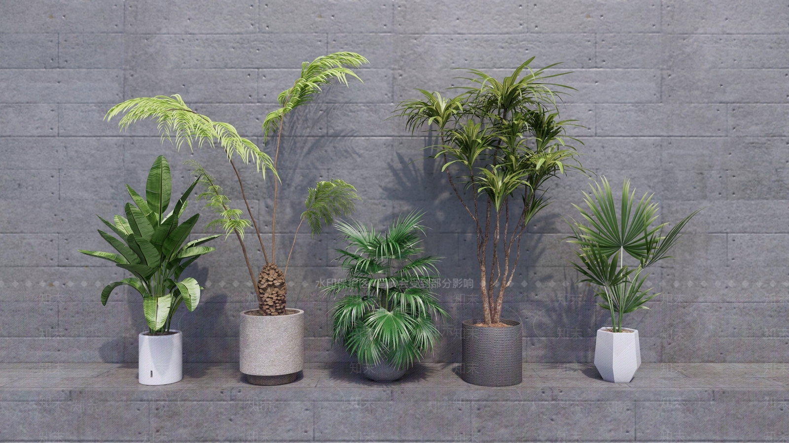 现代室内大型绿植SU模型下载【ID:1147193756】