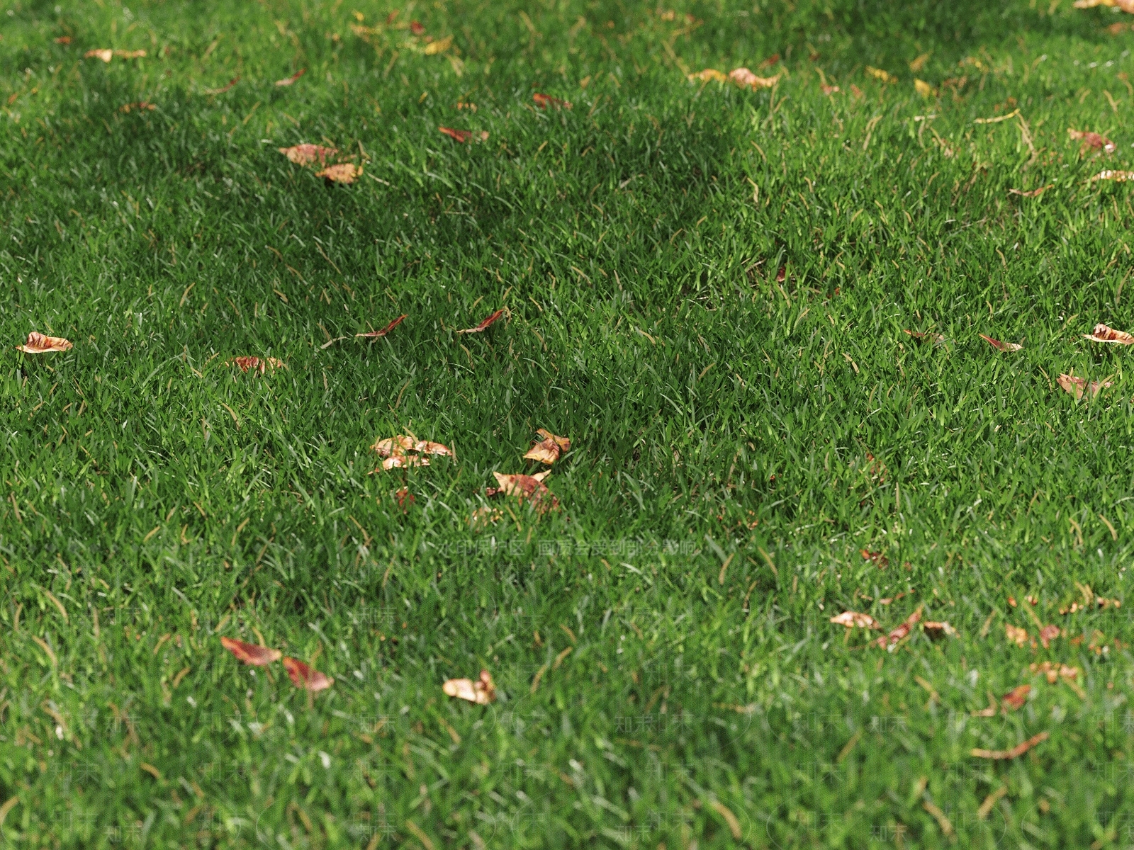 现代草地户外草坪3D模型下载【ID:1147363135】