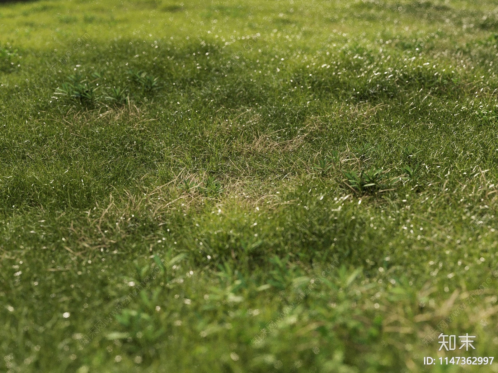 现代草地户外草坪3D模型下载【ID:1147362997】