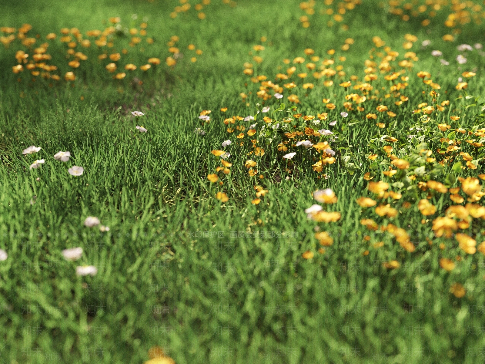 现代草地户外草坪3D模型下载【ID:1147363152】