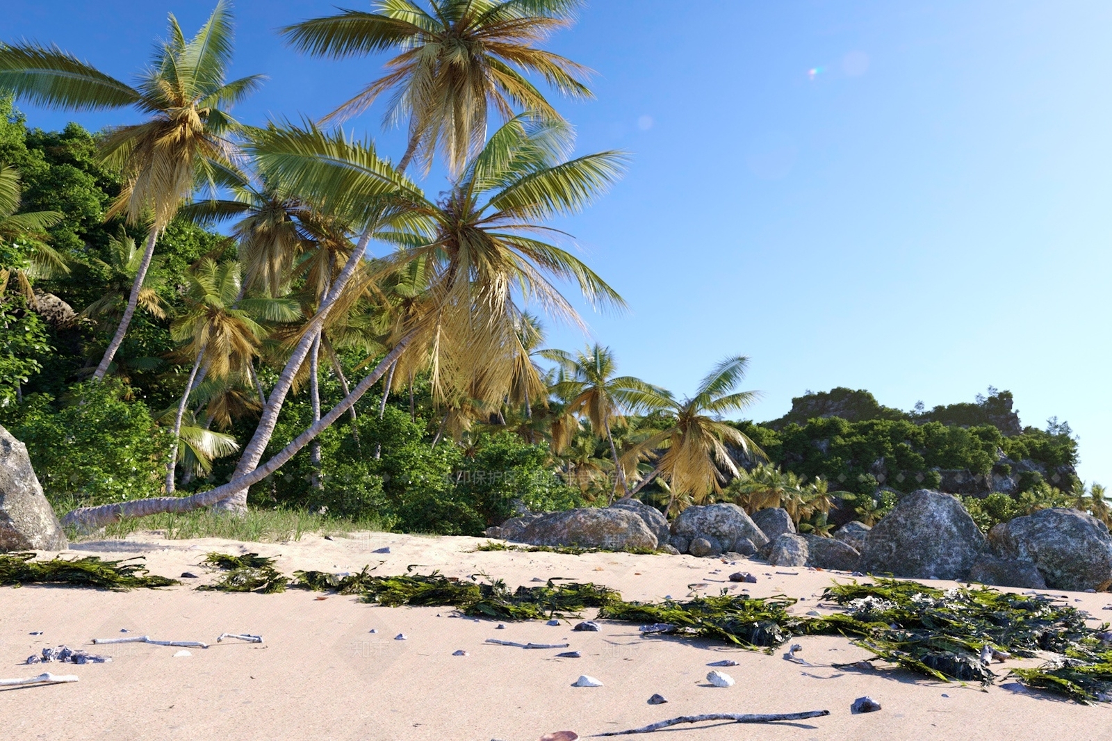 海边椰子树沙滩3D模型下载【ID:1147281463】