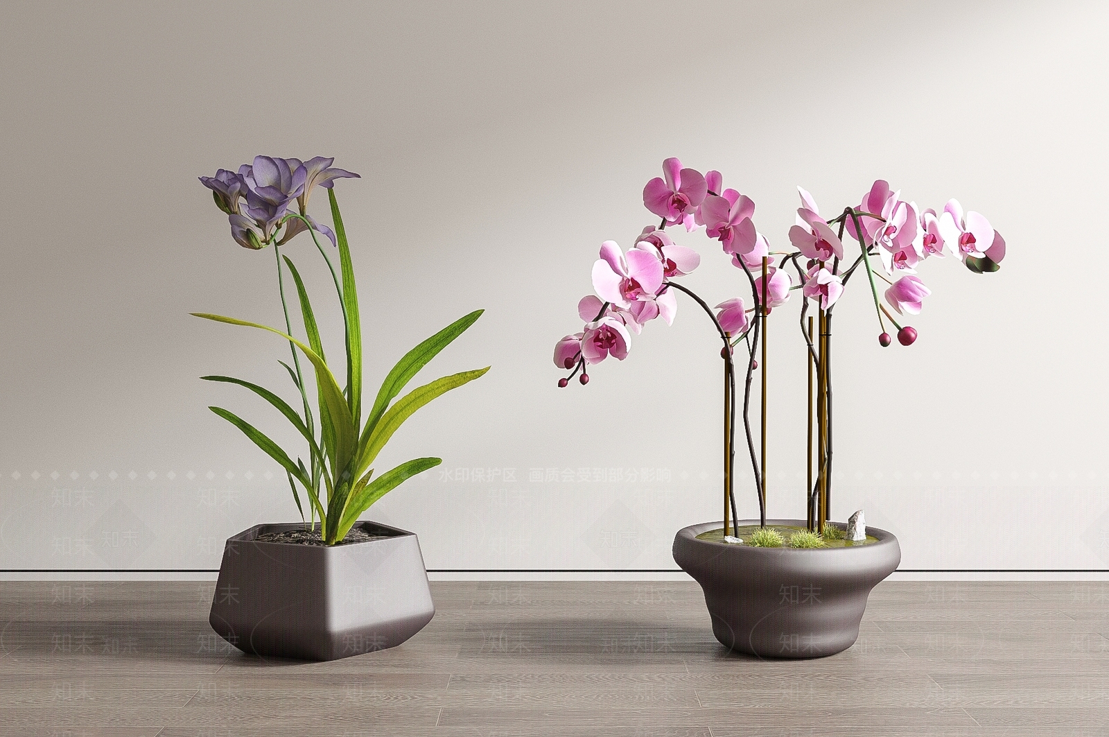 现代蝴蝶兰盆栽盆景3D模型下载【ID:1147431853】