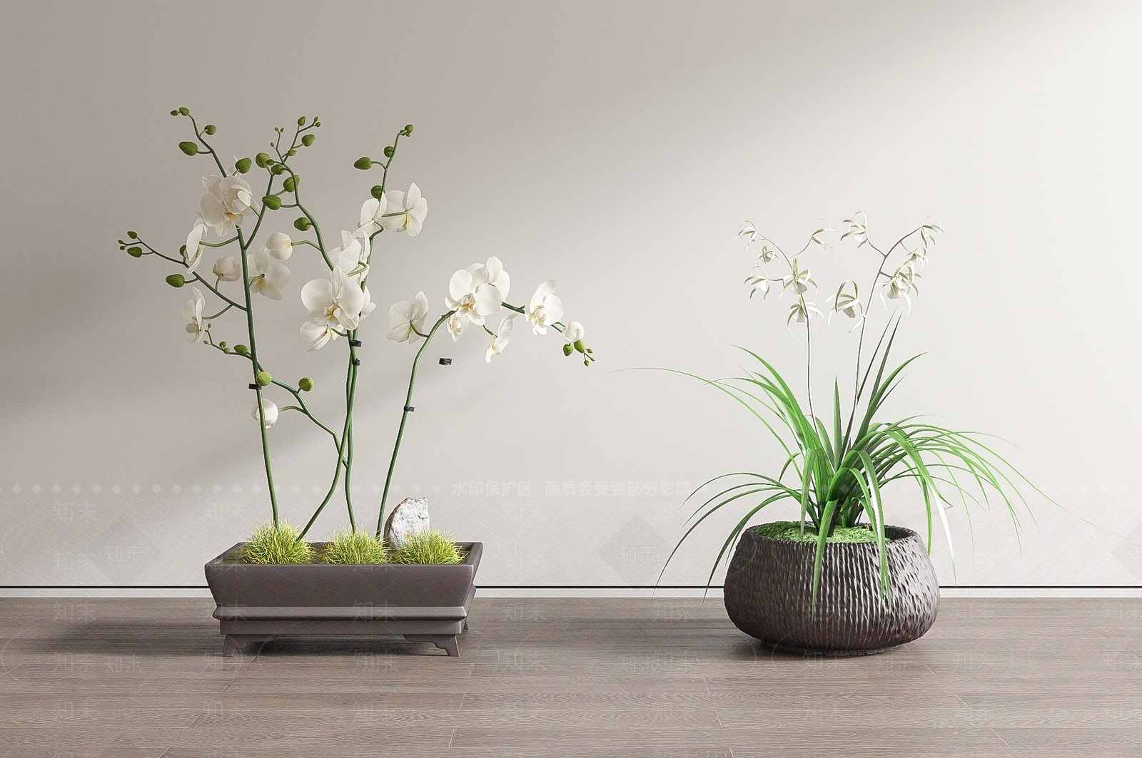 现代蝴蝶兰盆栽盆景SU模型下载【ID:1147431921】