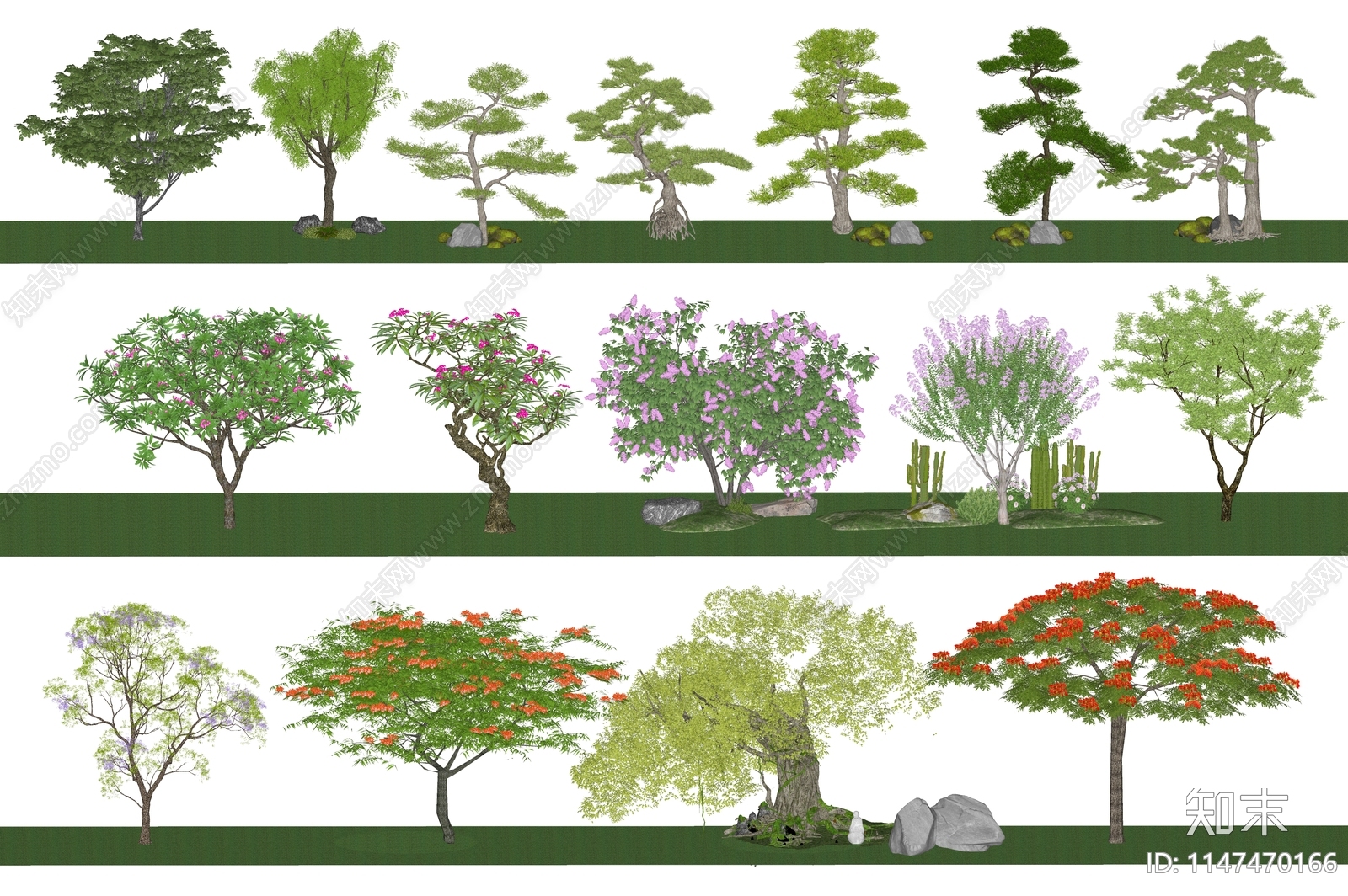 蓝花楹SU模型下载【ID:1147470166】