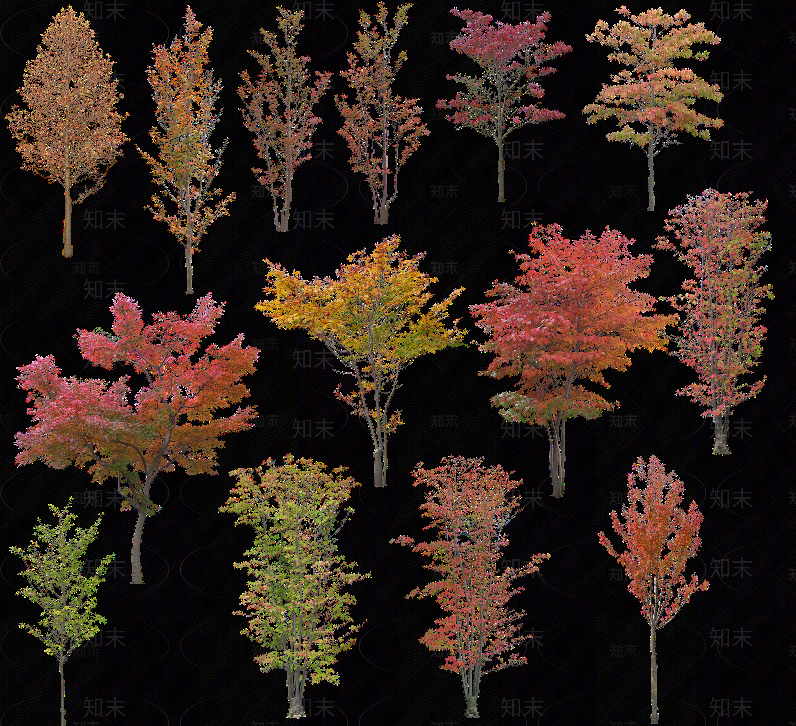 免抠景观树贴图下载【ID:1147477699】