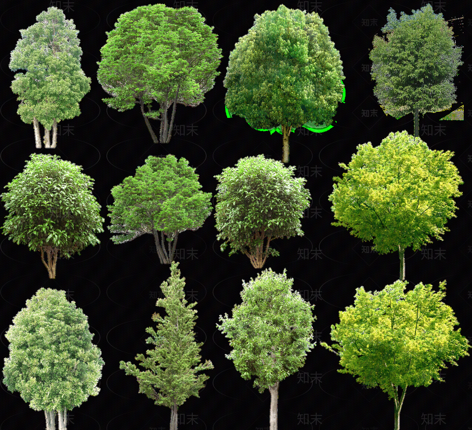 免抠景观树贴图下载【ID:1147480654】