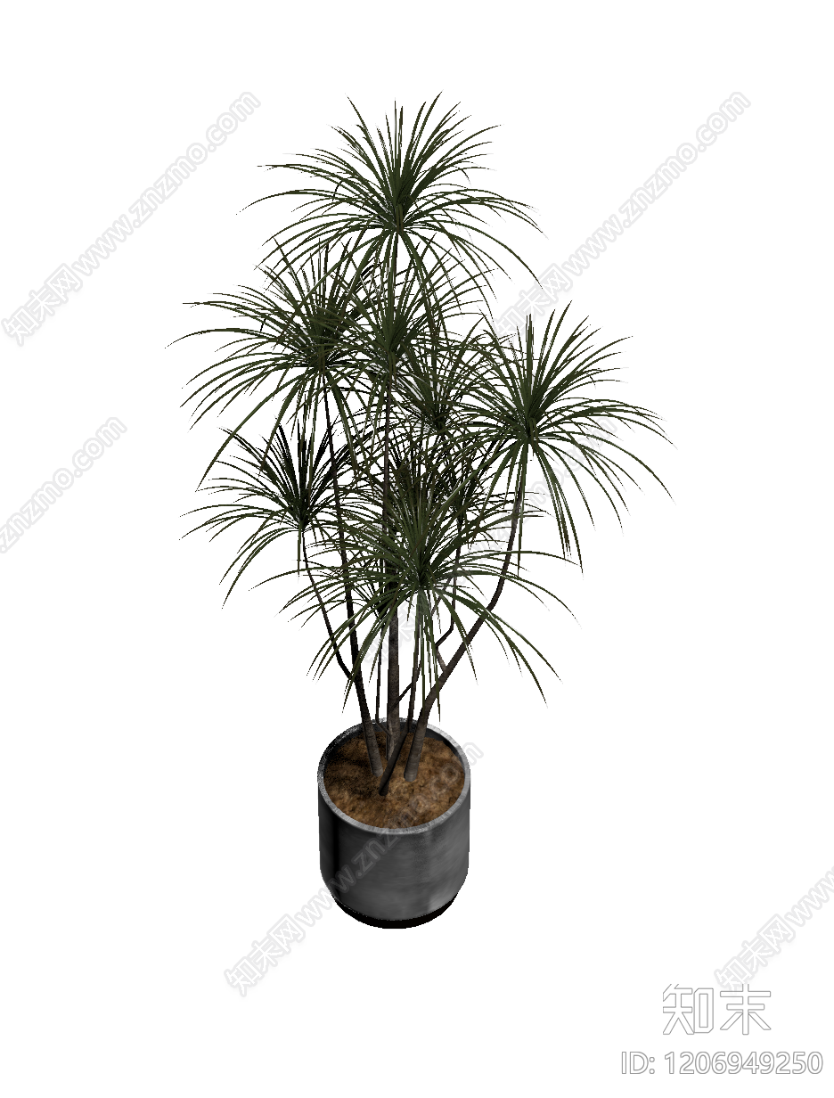 盆栽龙血树装饰3D模型下载【ID:1206949250】