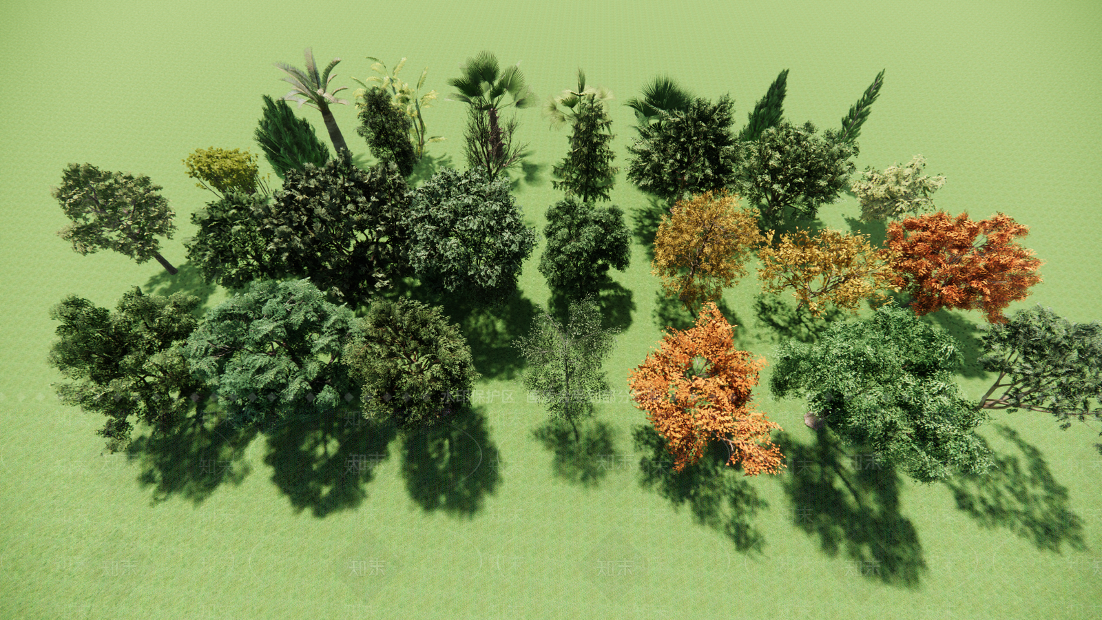 3D植物树组合SU模型下载【ID:1147498401】