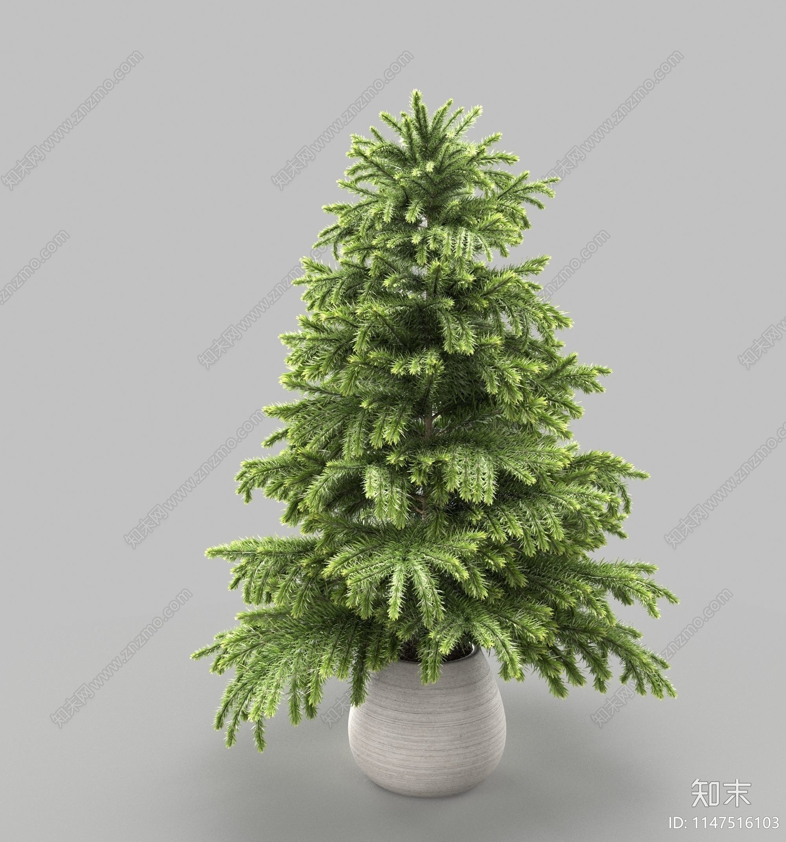 云杉盆栽树3D模型下载【ID:1147516103】
