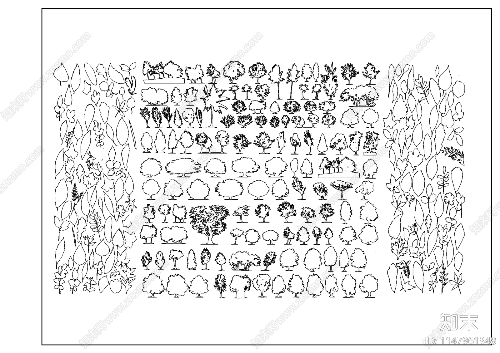 景观树图库素材施工图下载【ID:1147961348】