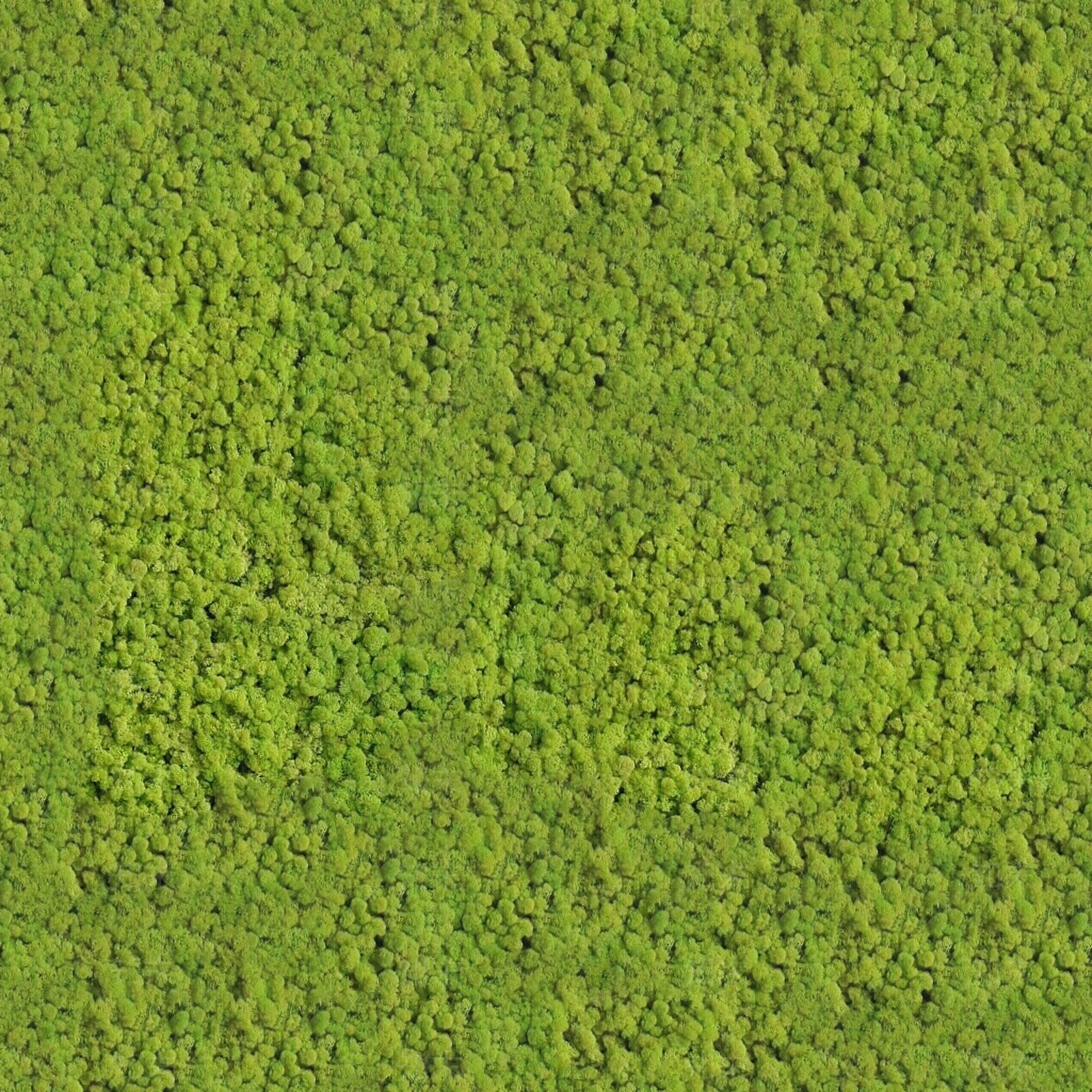 植物草坪贴图下载【ID:1147551478】