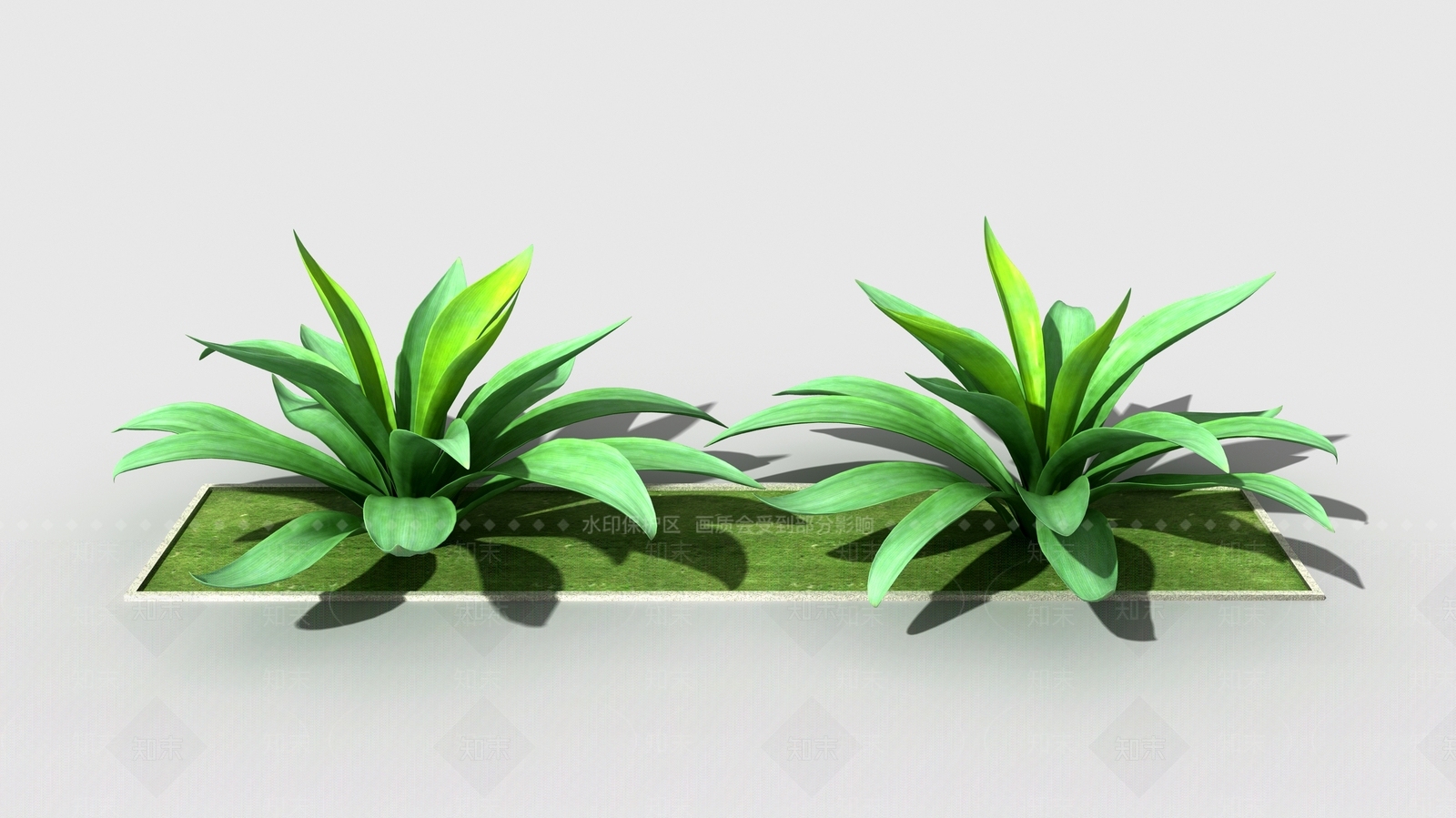 现代植物3D模型下载【ID:1147597649】