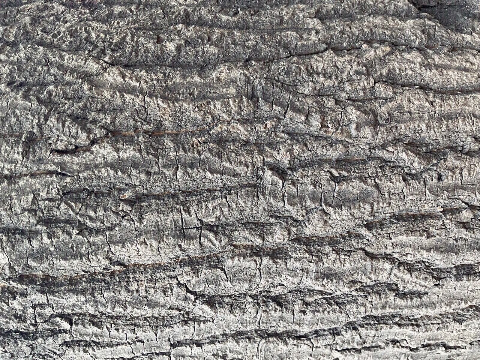 树皮纹贴图下载【ID:1147634904】