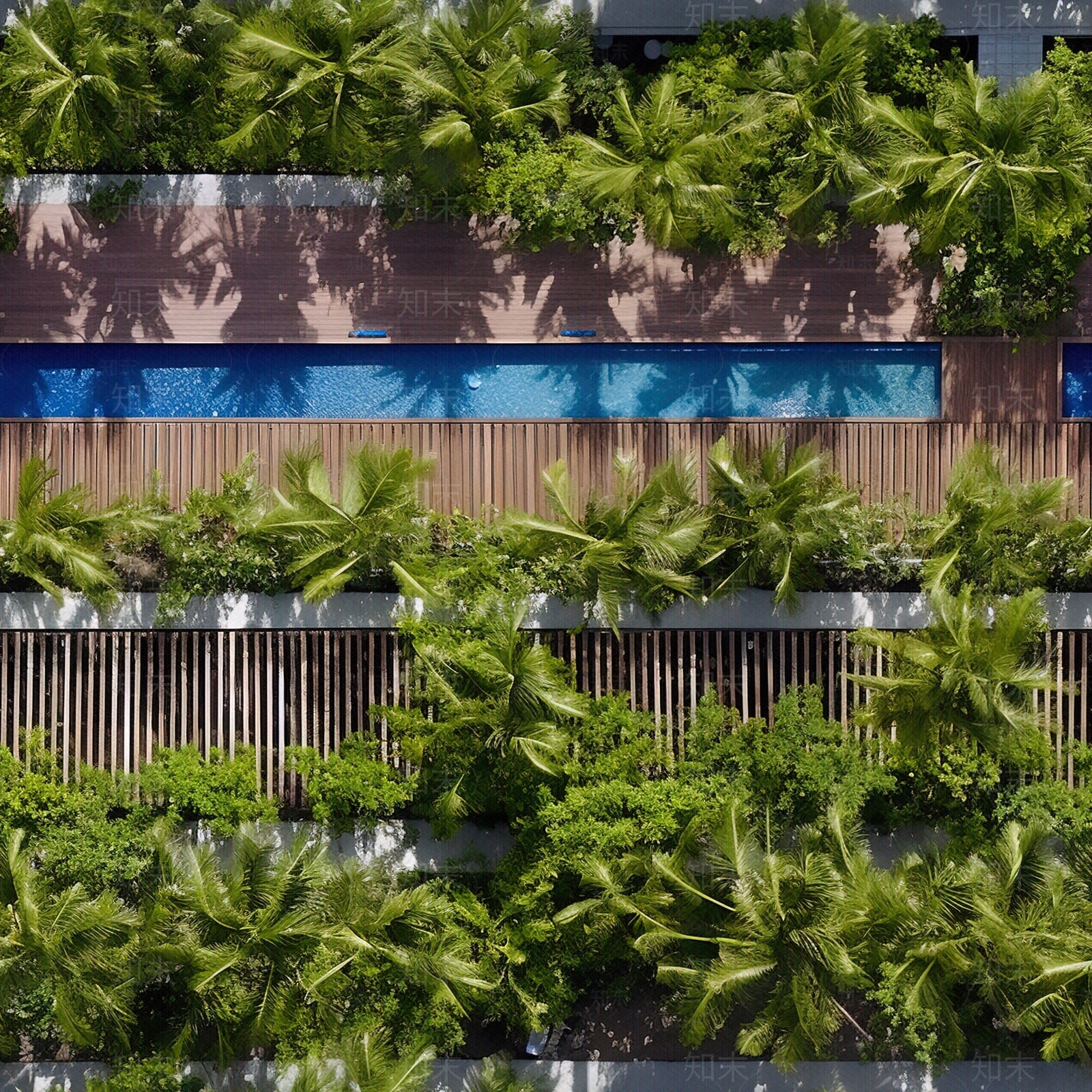 无缝俯拍热带花园贴图下载【ID:1147715849】