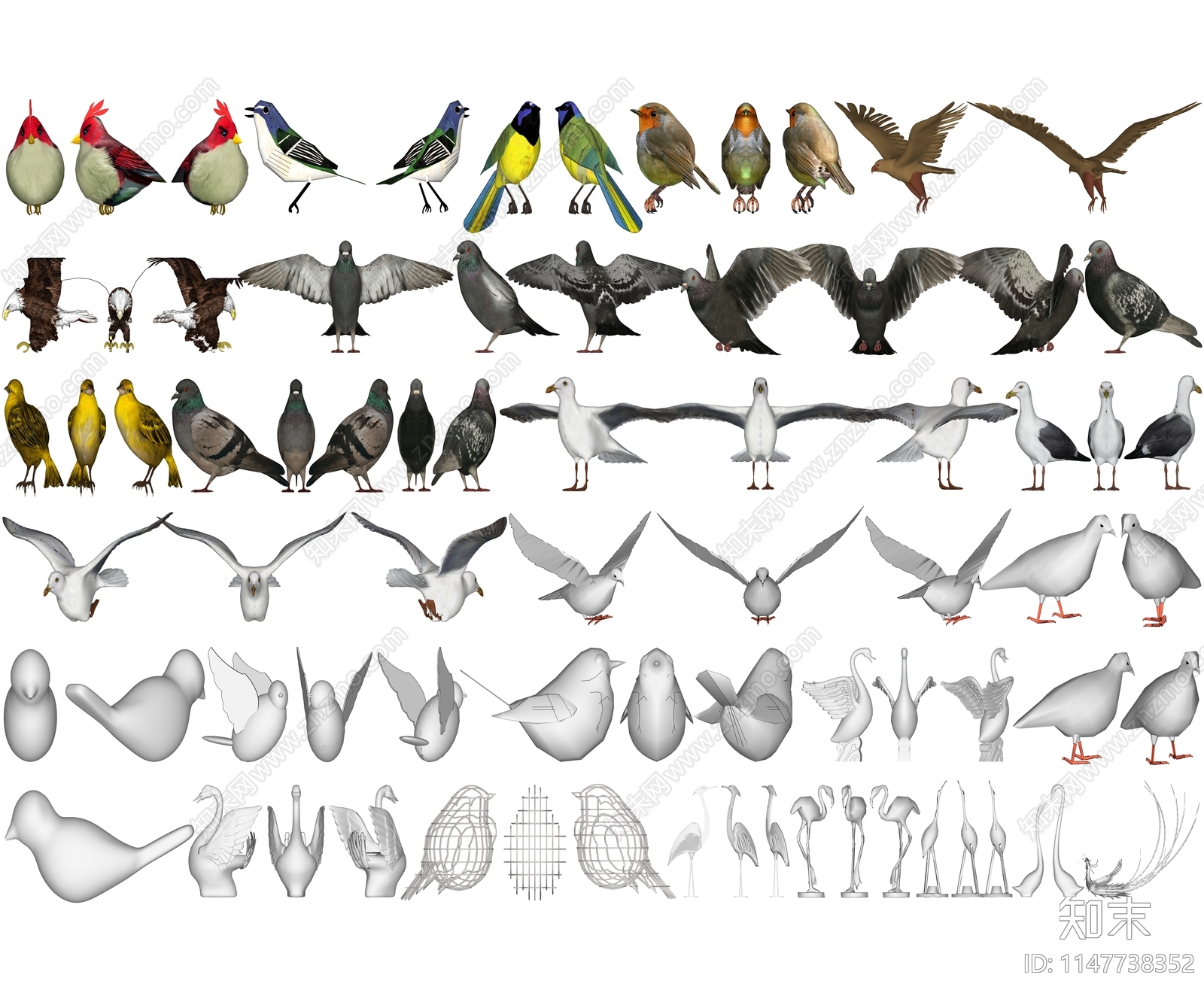 鸟类动物SU模型下载【ID:1147738352】