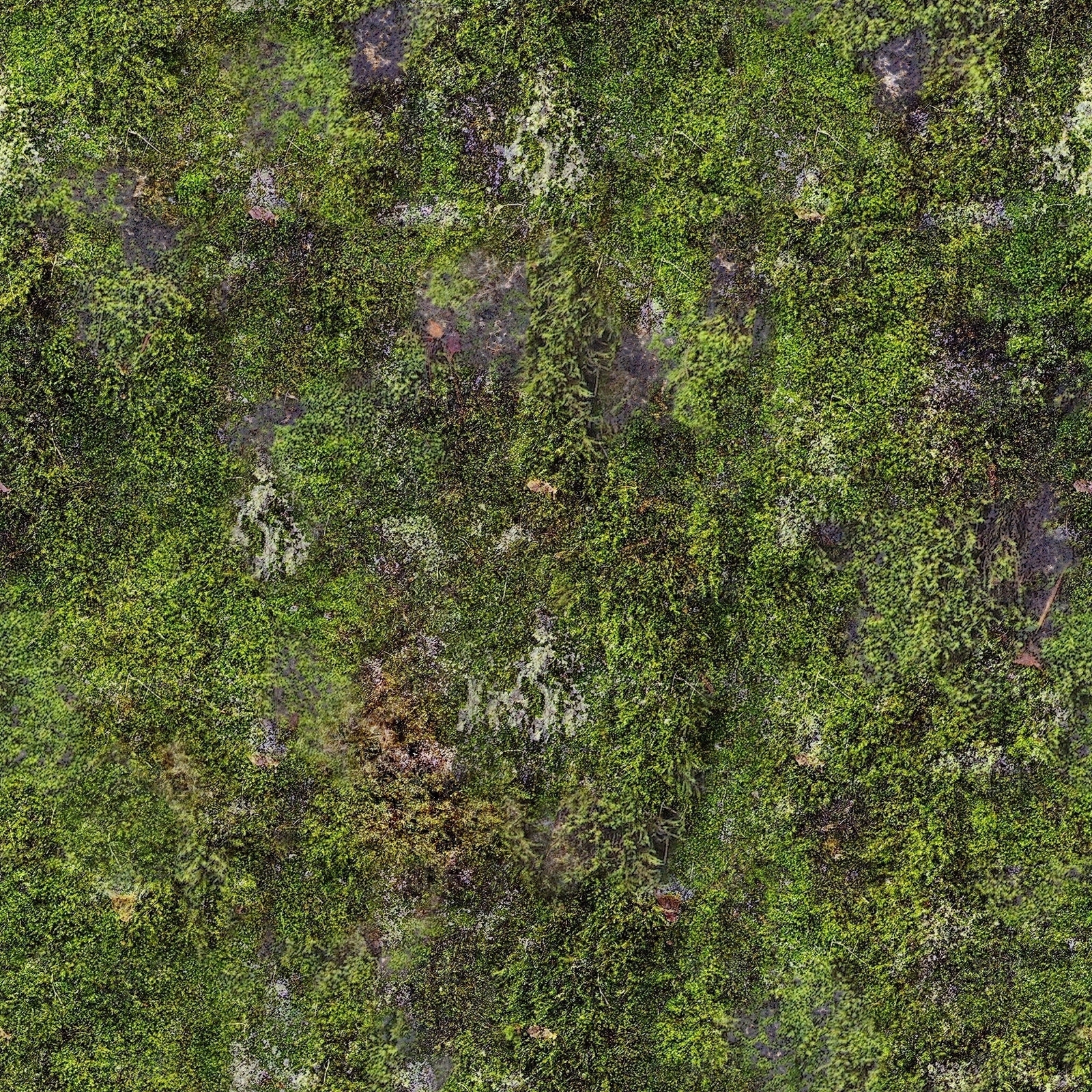 自然苔藓贴图下载【ID:1147927154】