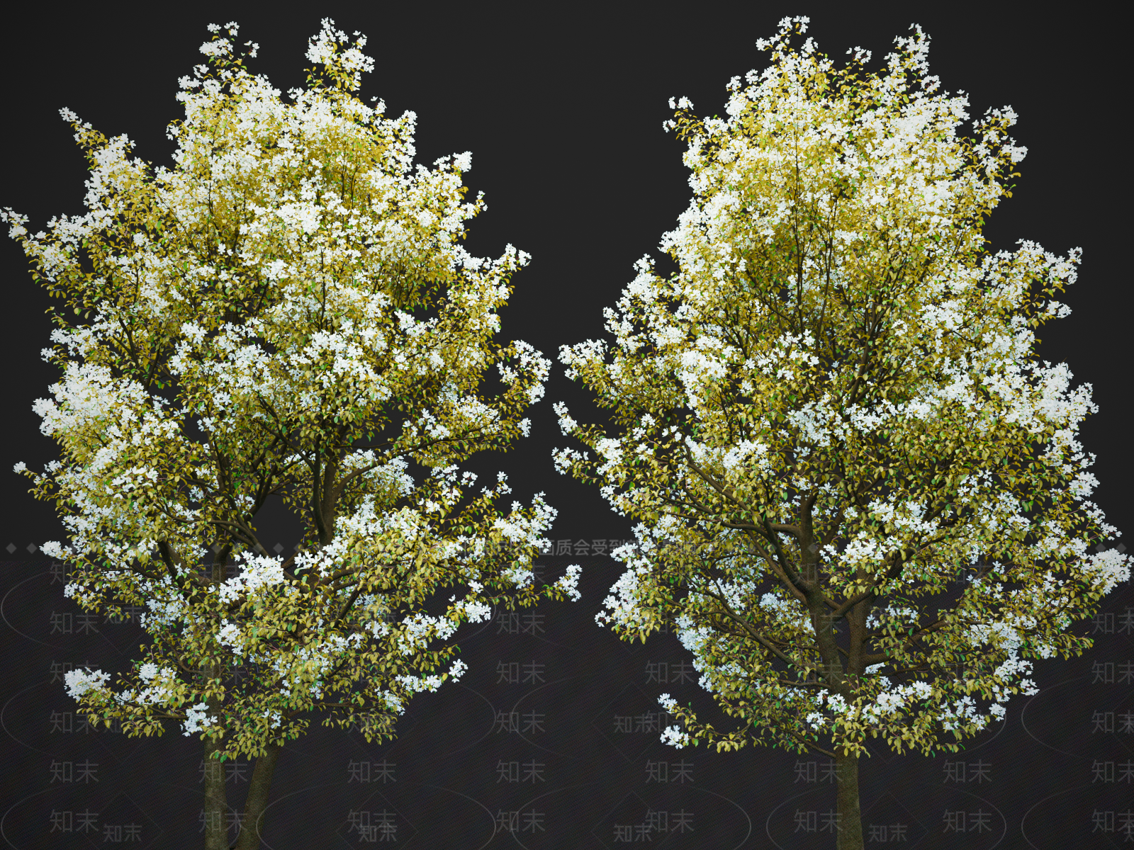 乔木3D模型下载【ID:1147937842】