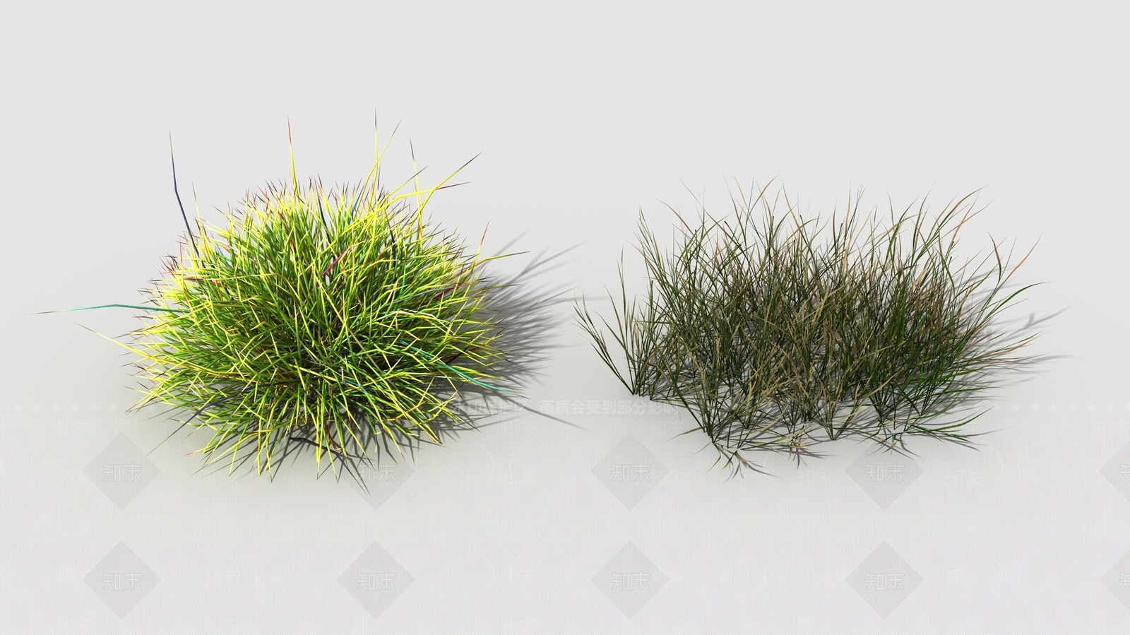 草3D模型下载【ID:1147948538】