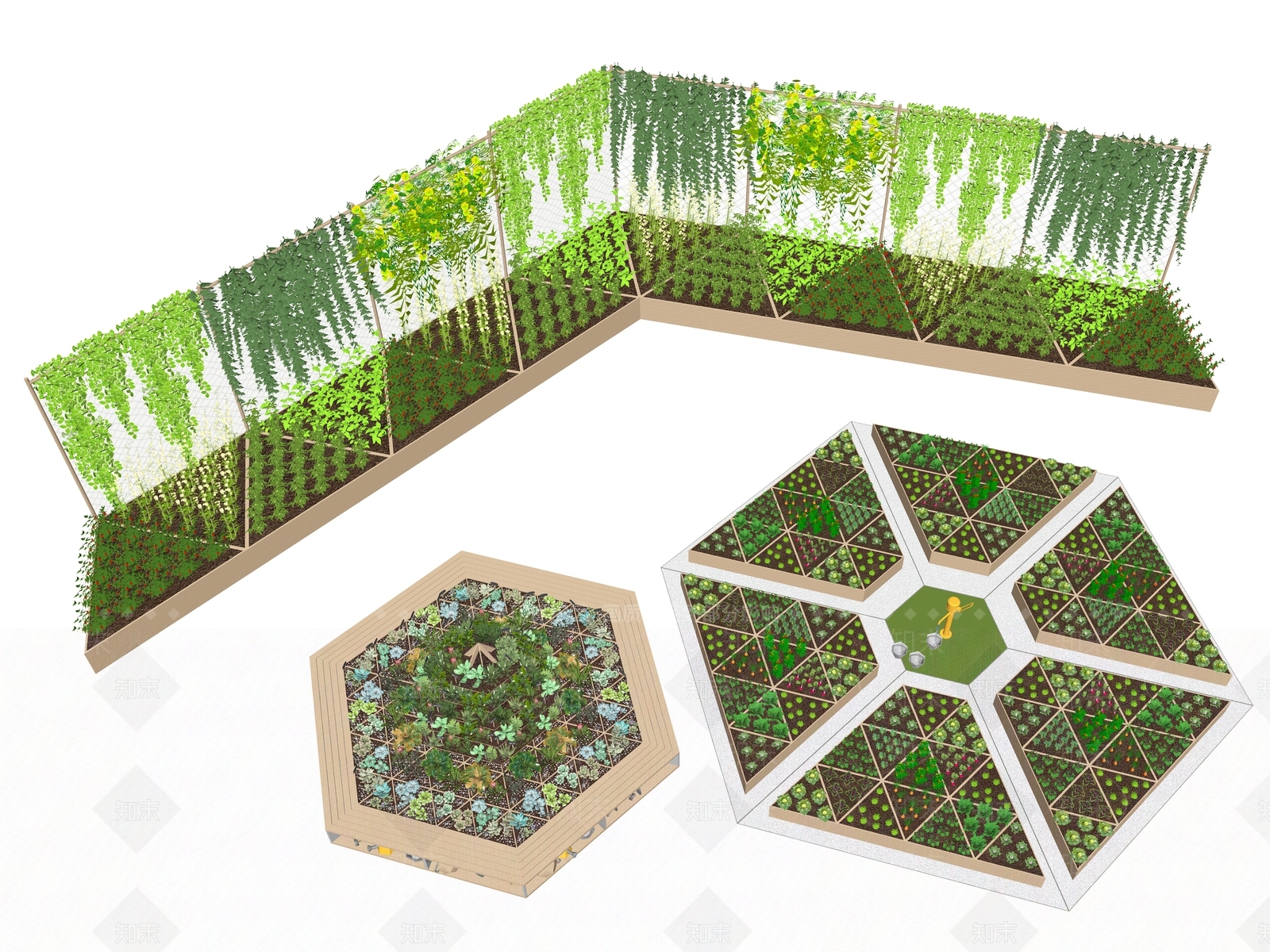 田地蔬菜SU模型下载【ID:1147963816】