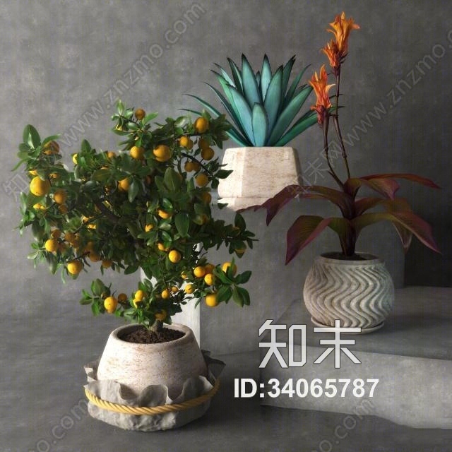 现代水果绿植盆栽组合3D模型下载【ID:34065787】