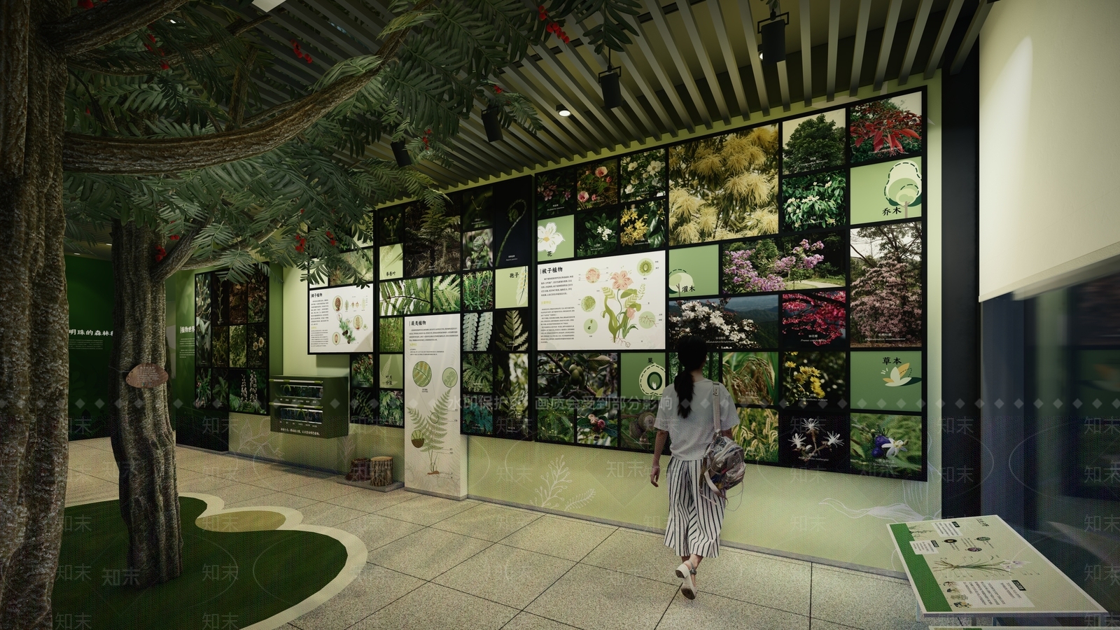 现代植物科普介绍墙SU模型下载【ID:1148109224】