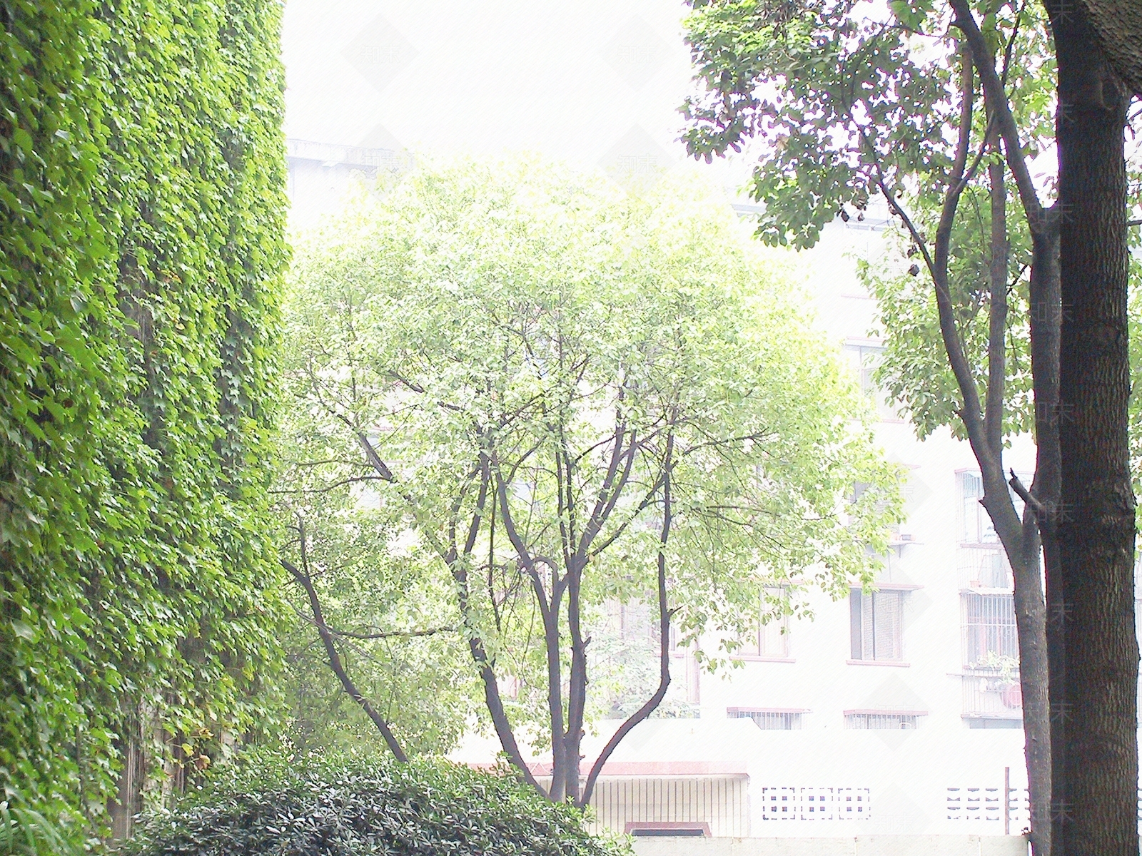 白天街道外景贴图下载【ID:1148217439】