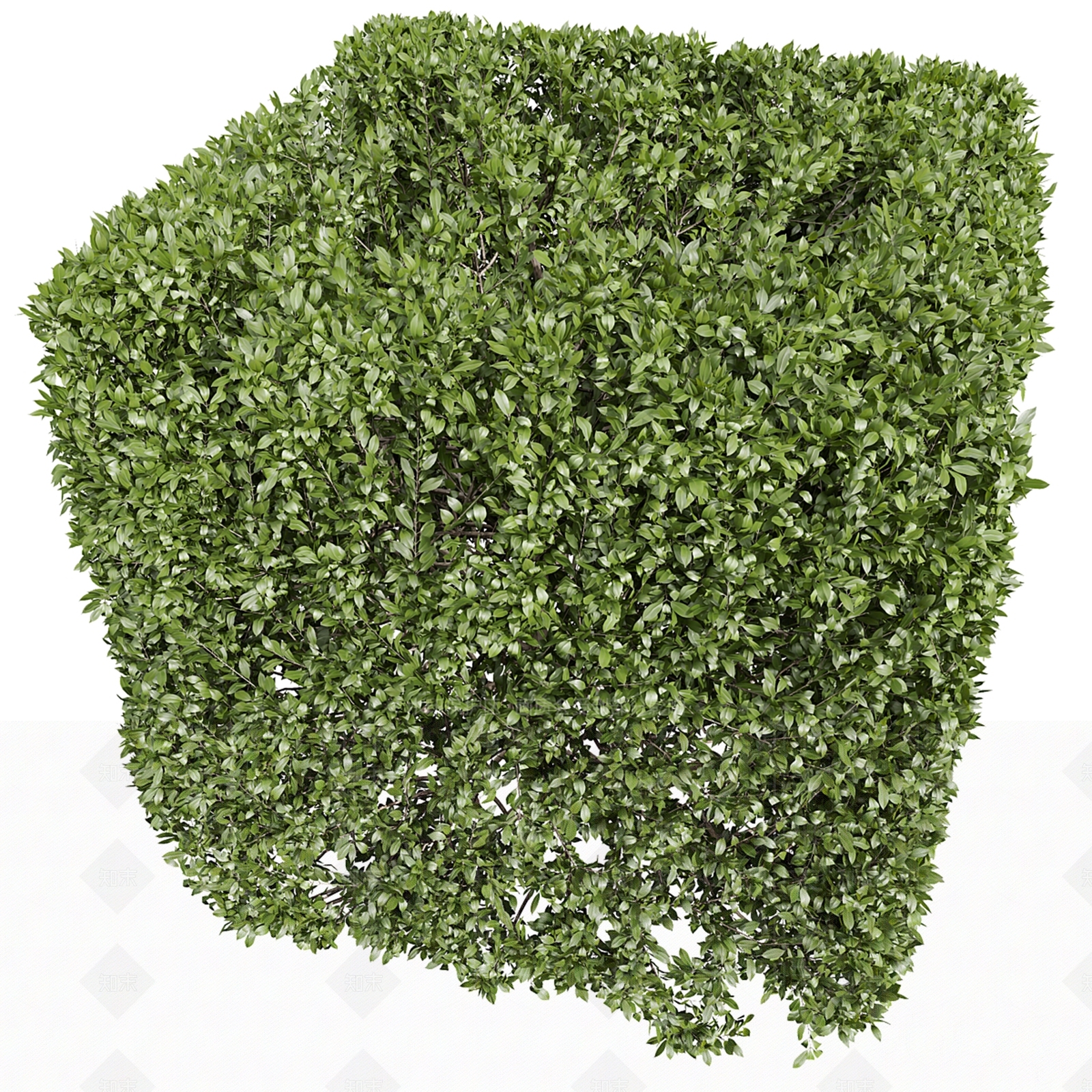 现代灌木3D模型下载【ID:1148222050】