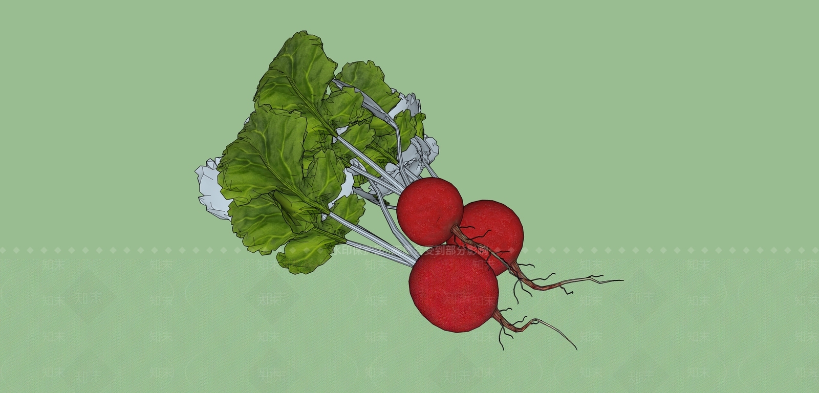 蔬菜SU模型下载【ID:1148230391】