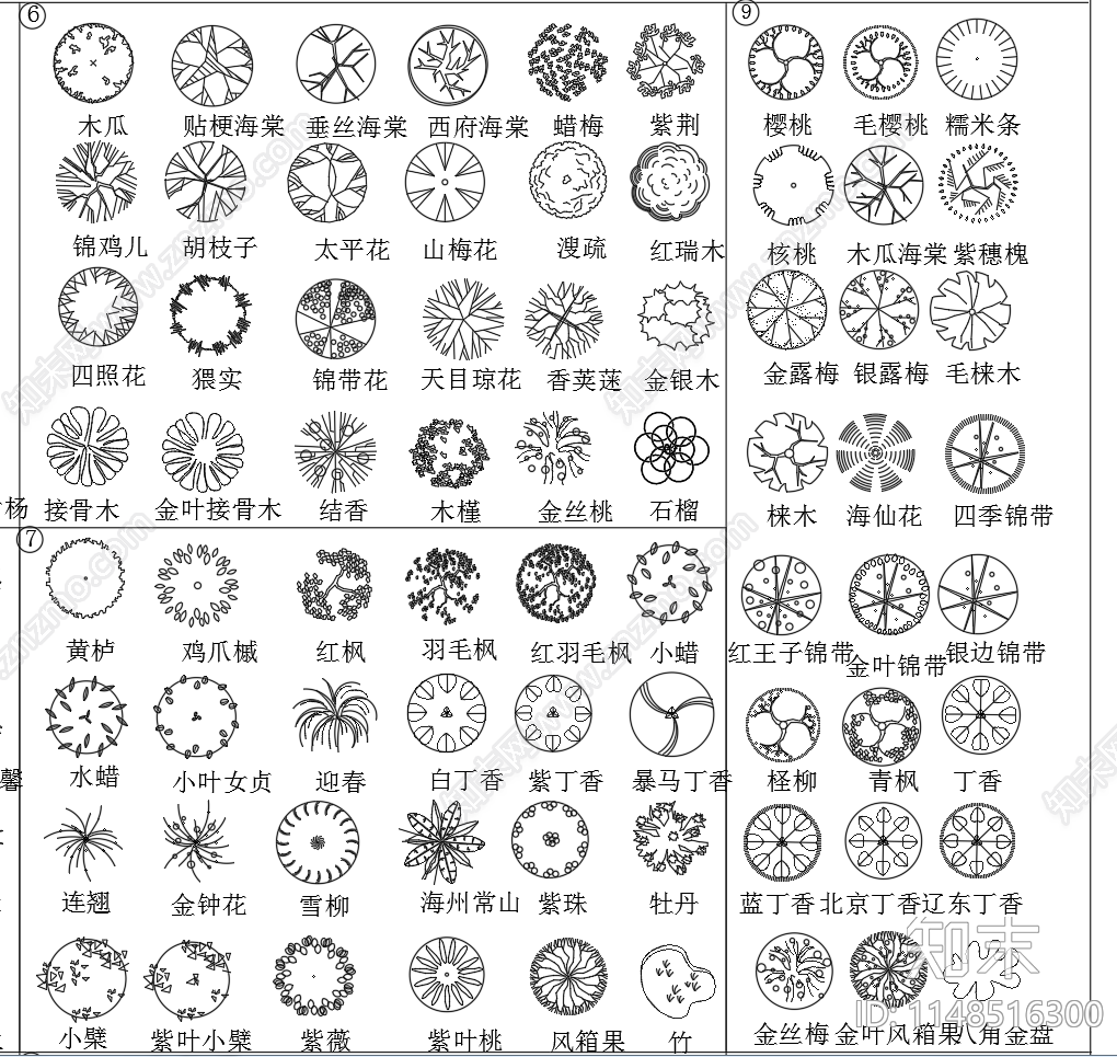 园林景观绿化植物图形图块施工图下载【ID:1148516300】