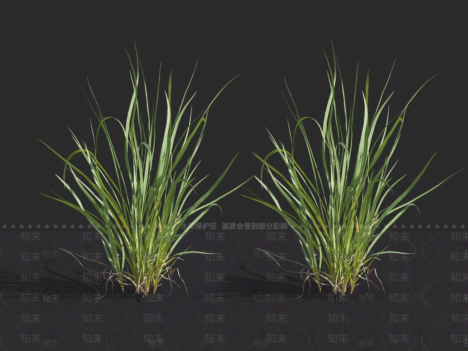 菖蒲3D模型下载【ID:1148271992】