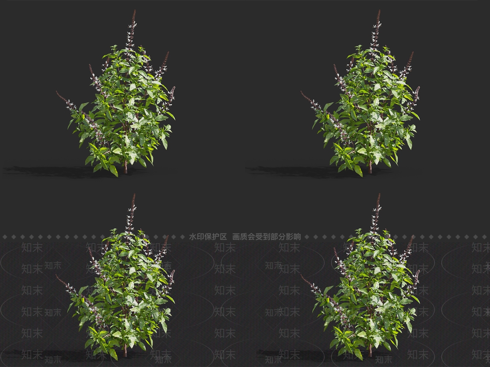 罗勒3D模型下载【ID:1148292587】