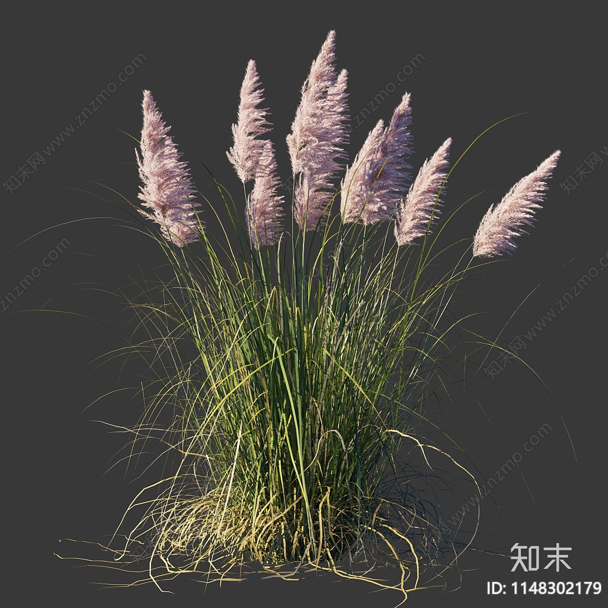 水生植物3D模型下载【ID:1148302179】